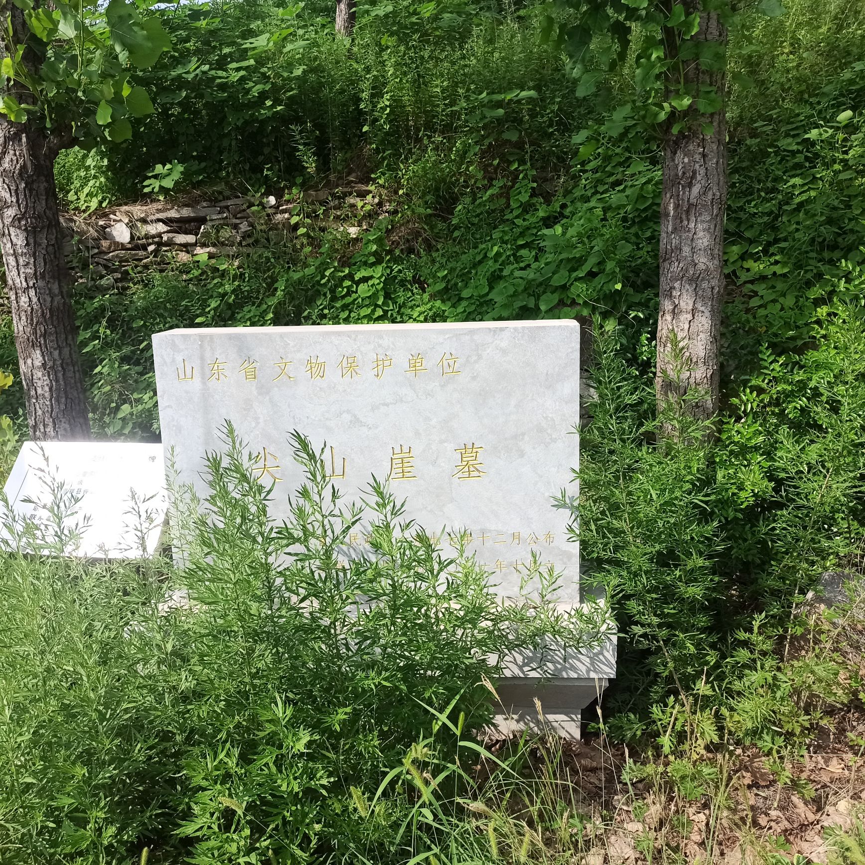 尖山崖墓旅行图片 1