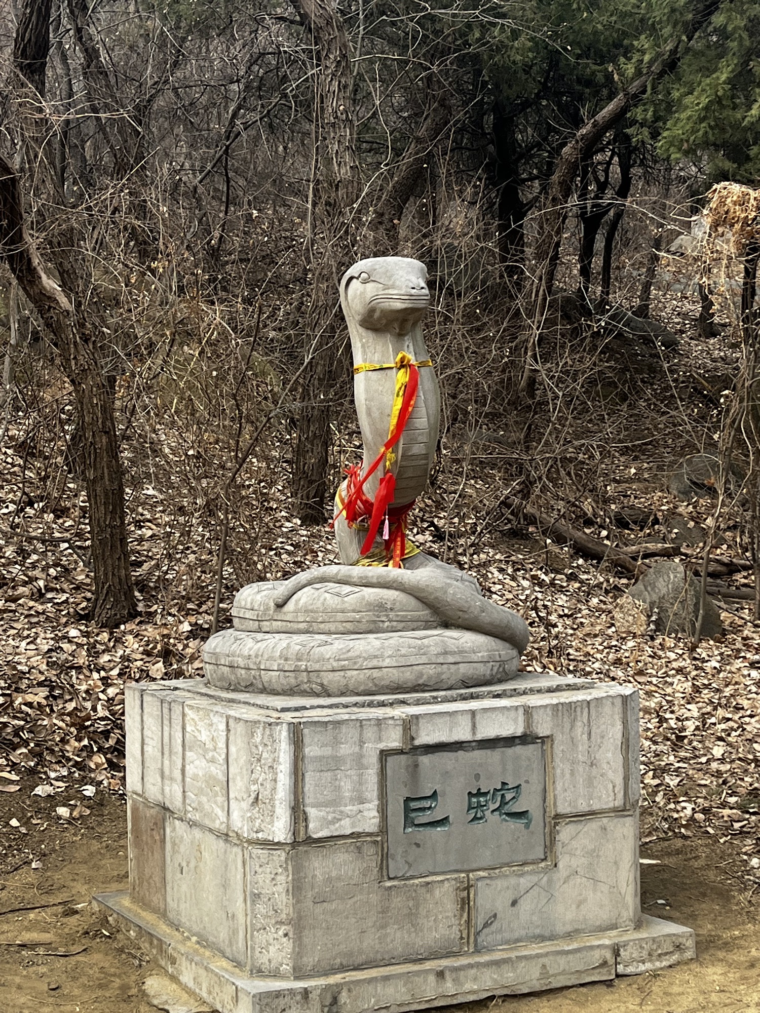 石门山国家森林公园旅行图片 3