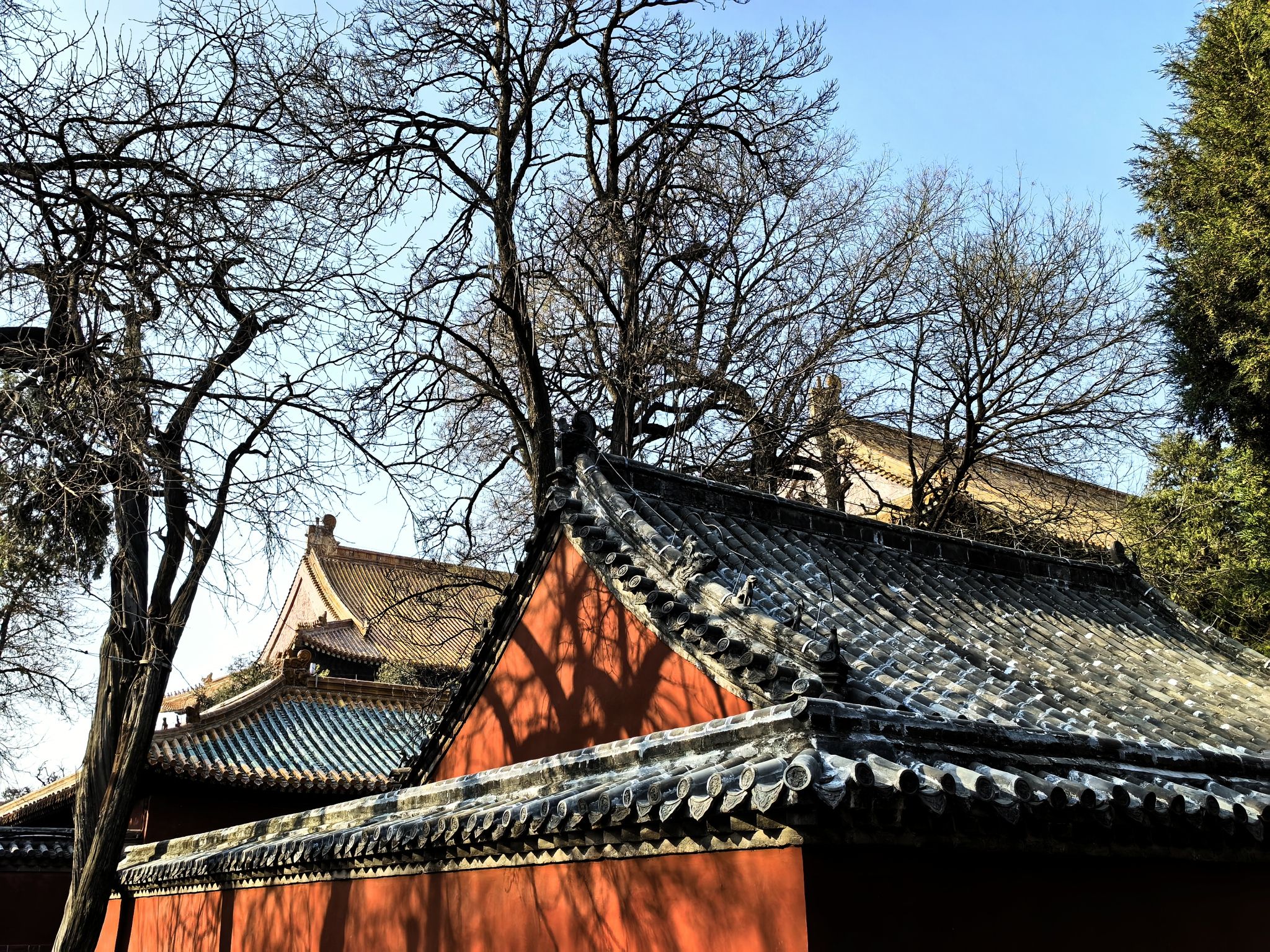 曲阜三孔景区-孔府旅行图片 1