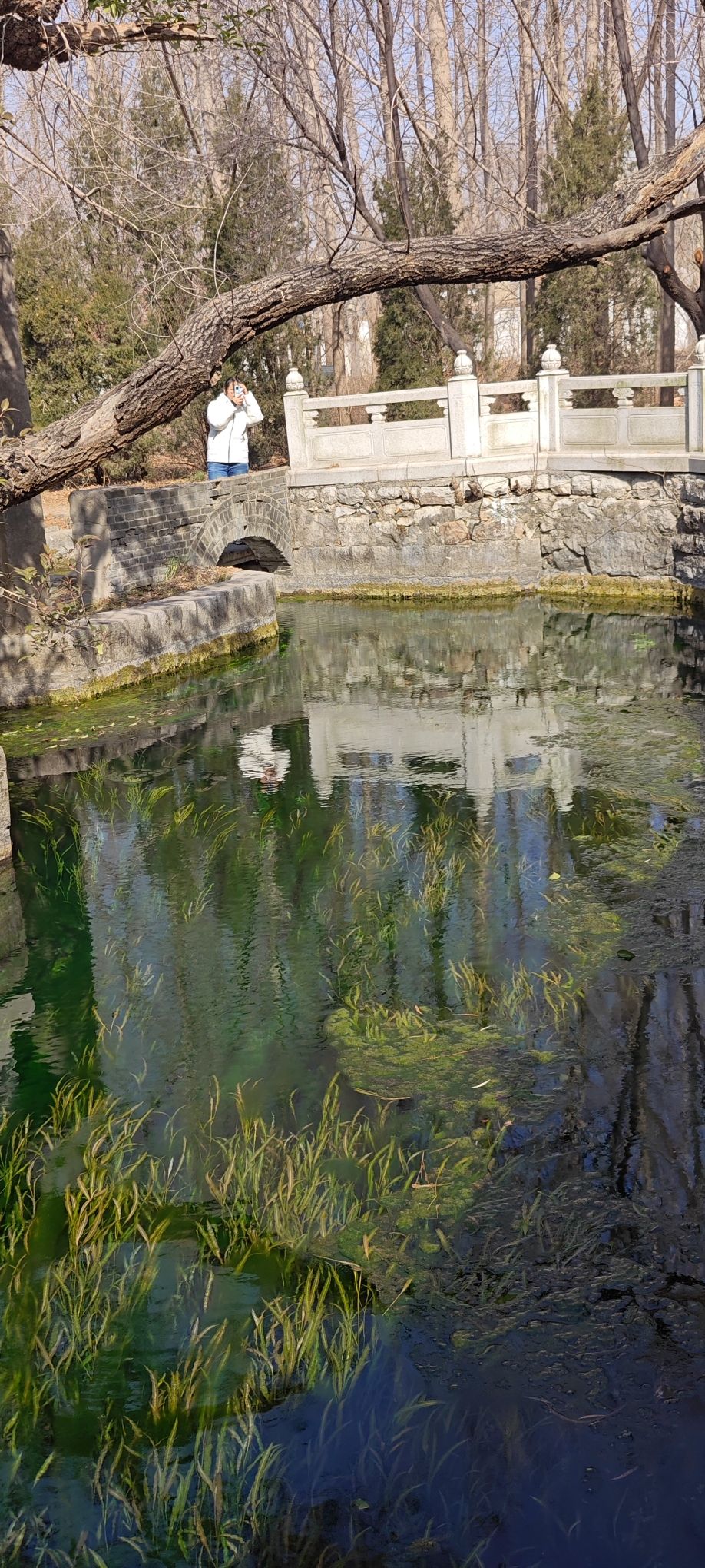 泗水泉林泉群风景名胜区旅行图片 3