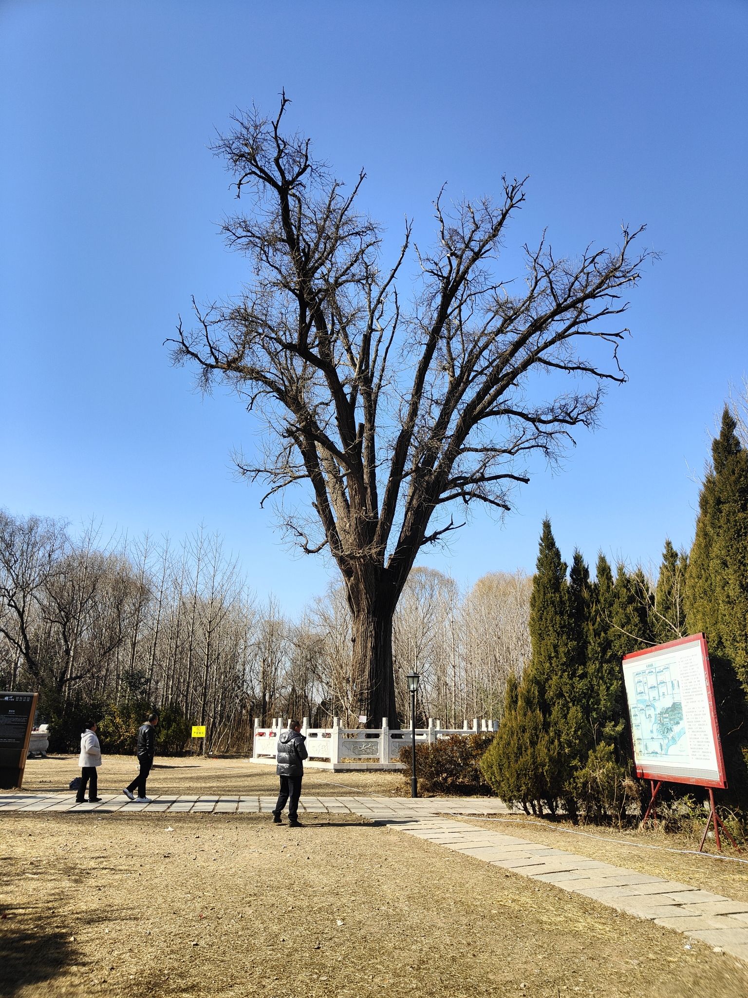 泗水泉林泉群风景名胜区旅行图片 2