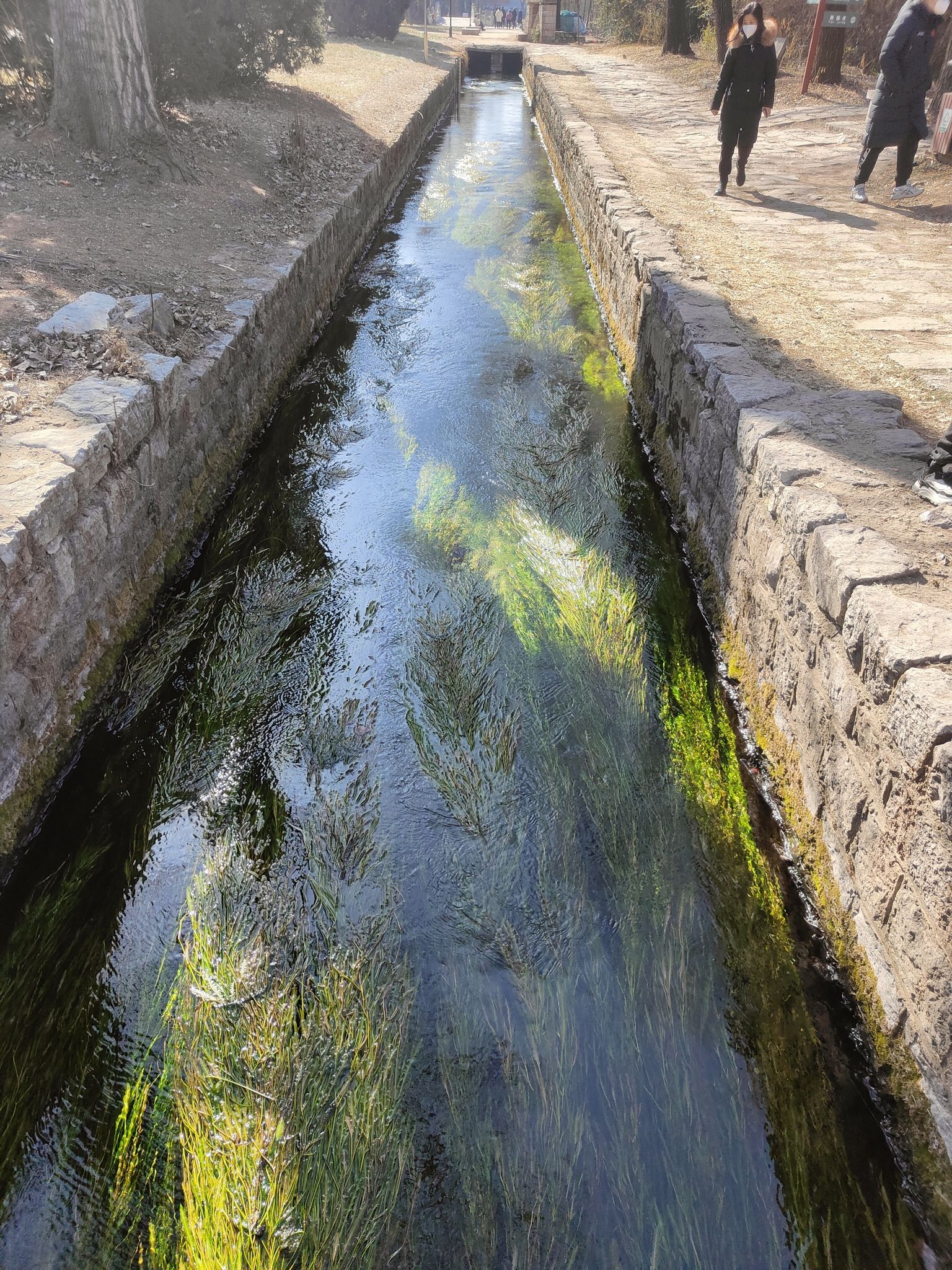 泗水泉林泉群风景名胜区旅行图片 1