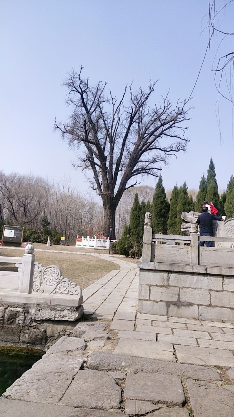 泗水泉林泉群风景名胜区旅行图片 3