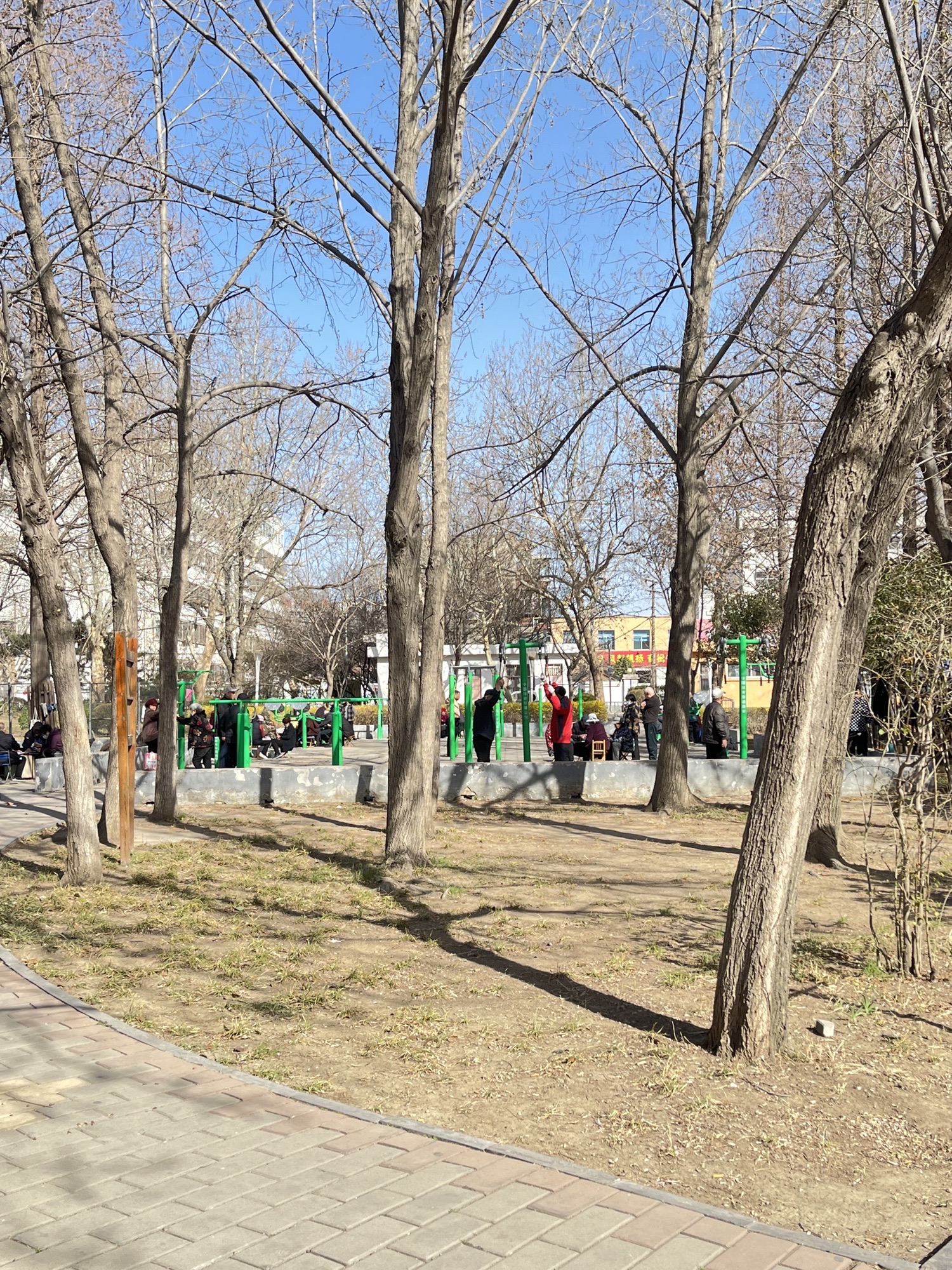 人民乐园旅行图片 3