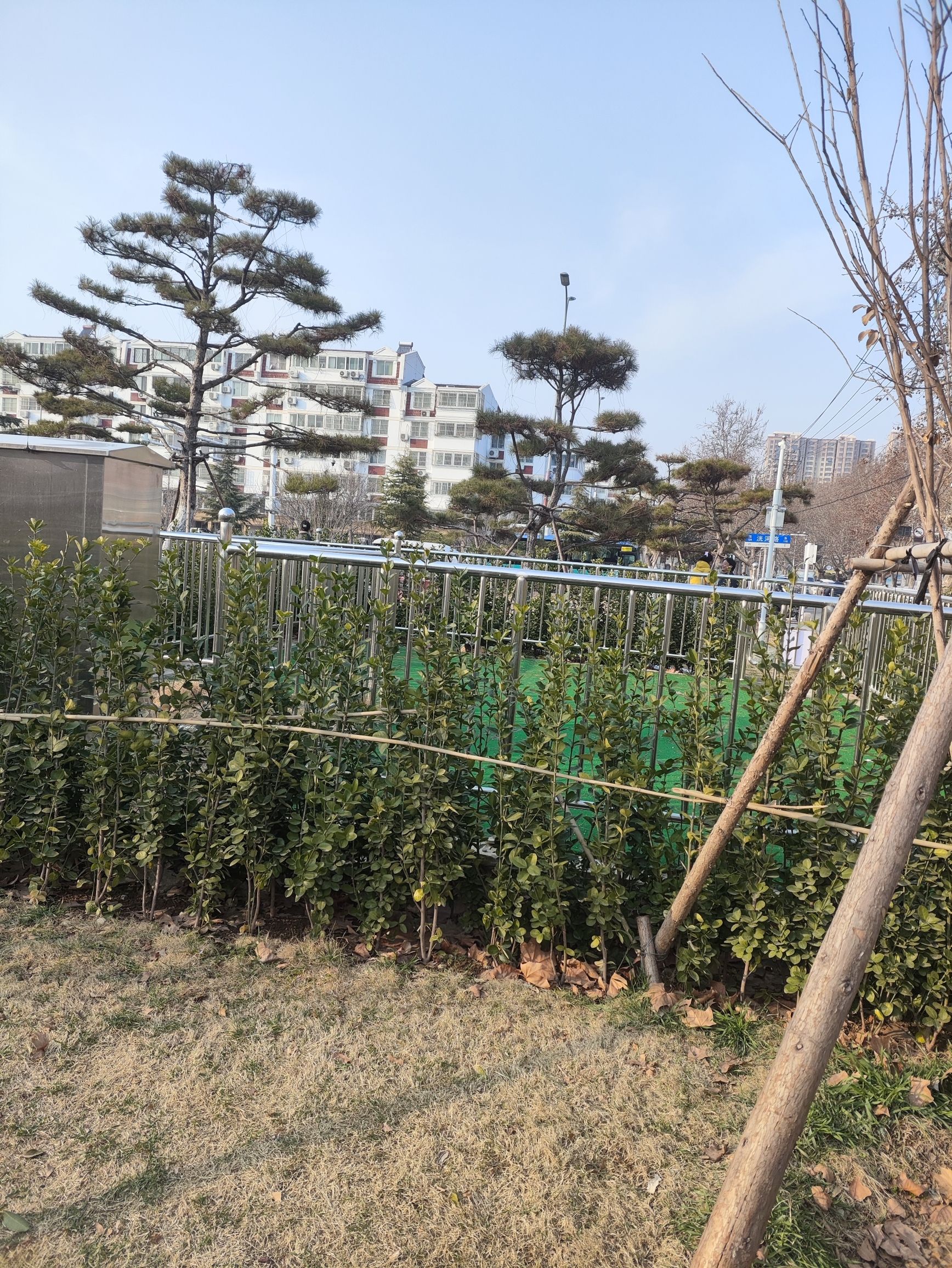 洸河公园旅行图片 3