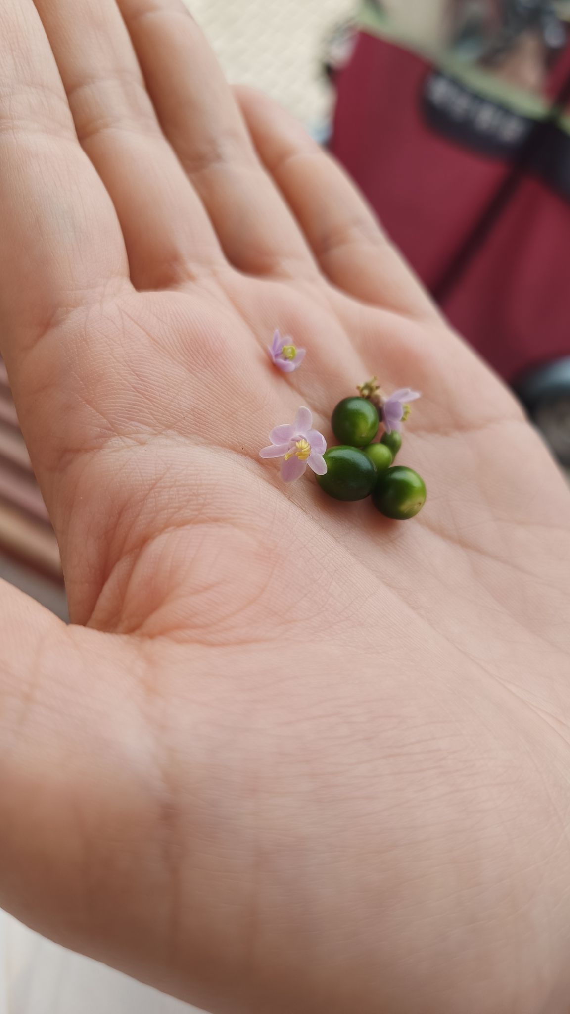 洸河公园旅行图片 3