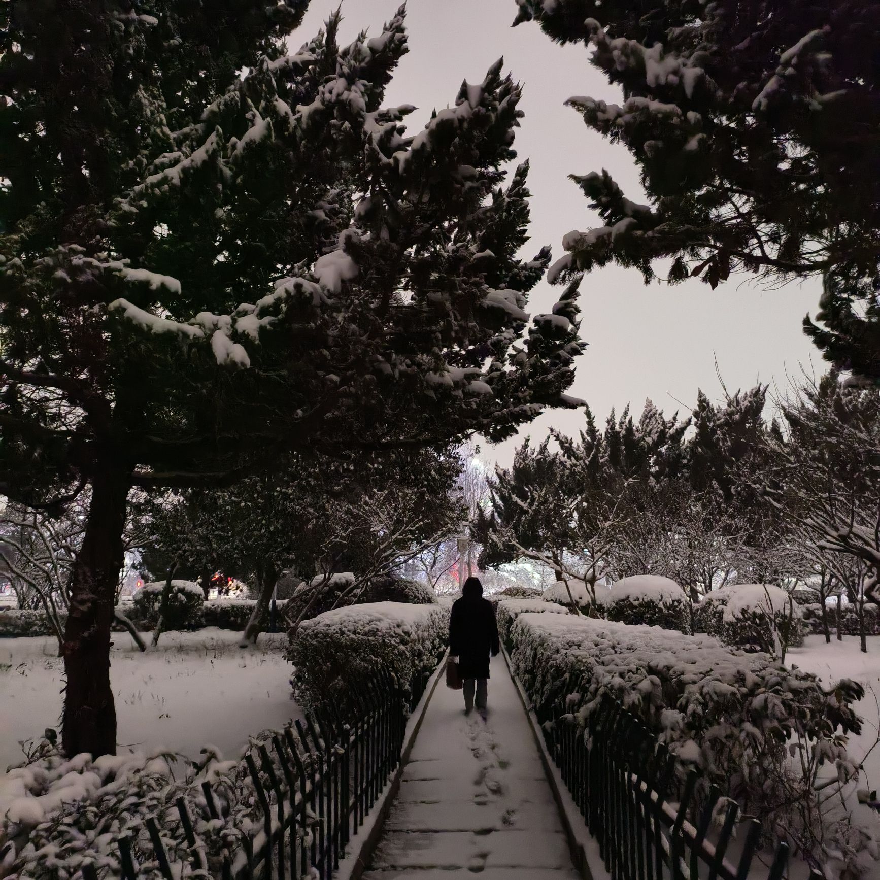 洸河公园旅行图片 3