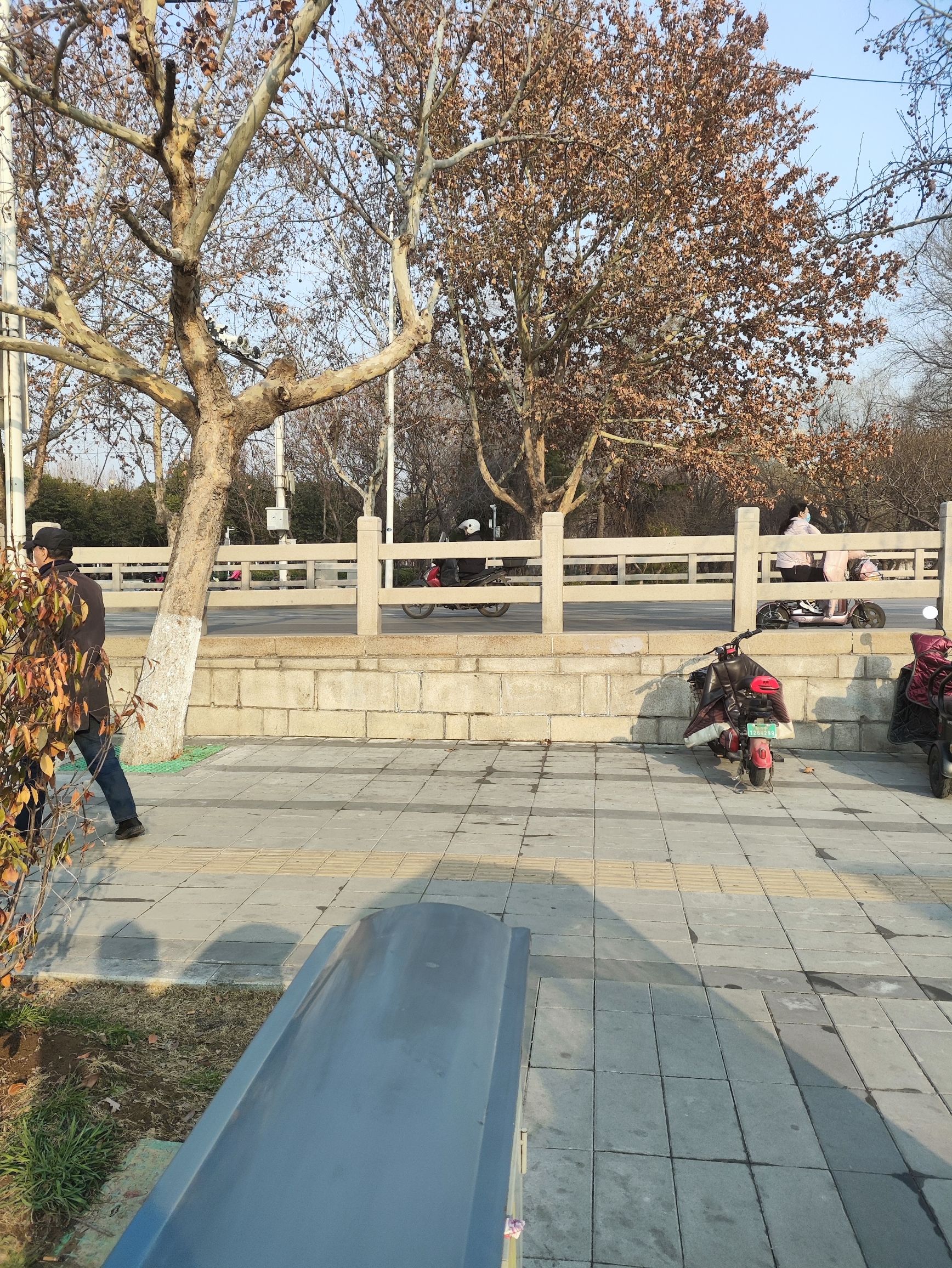 洸河公园旅行图片 2