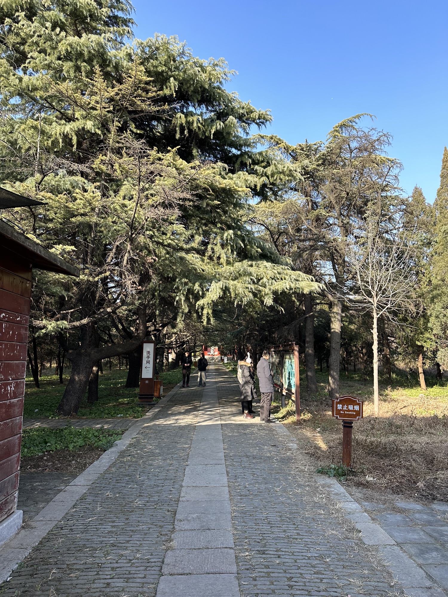 明鲁王墓旅行图片 2