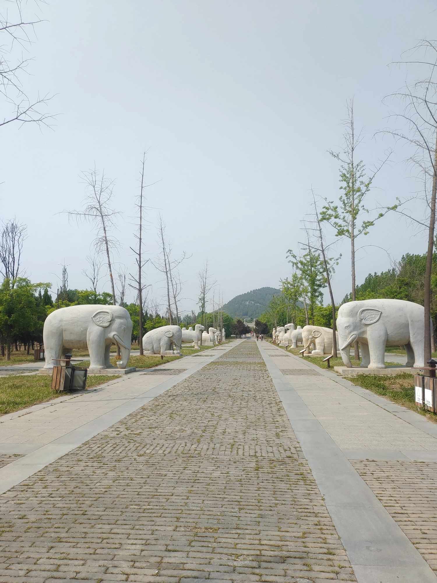 明鲁王墓旅行图片 2