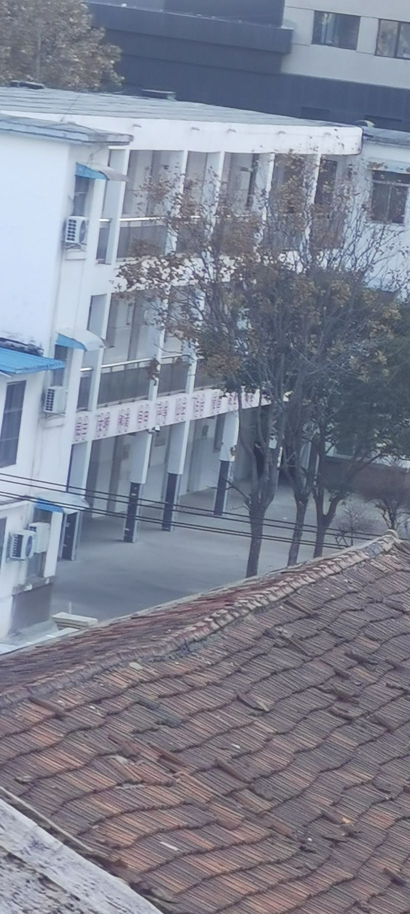 济宁市实验小学红星校区