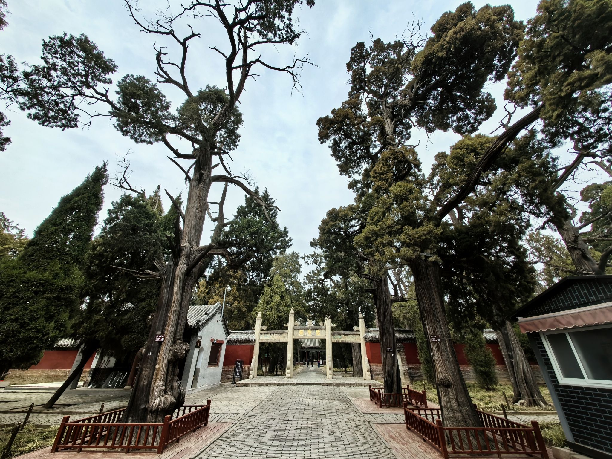 孟庙孟府旅行图片 3