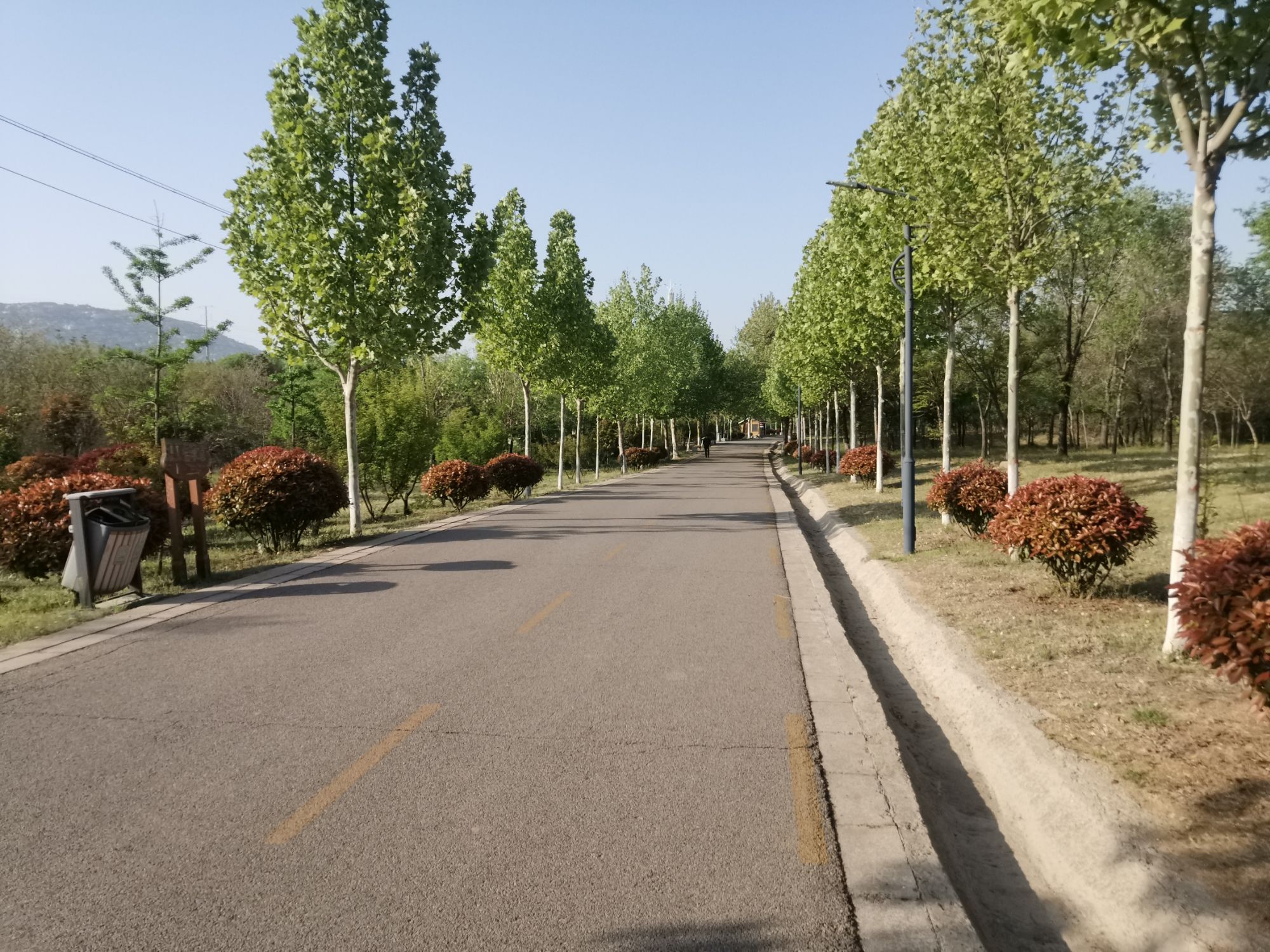 唐王河公园旅行图片 2