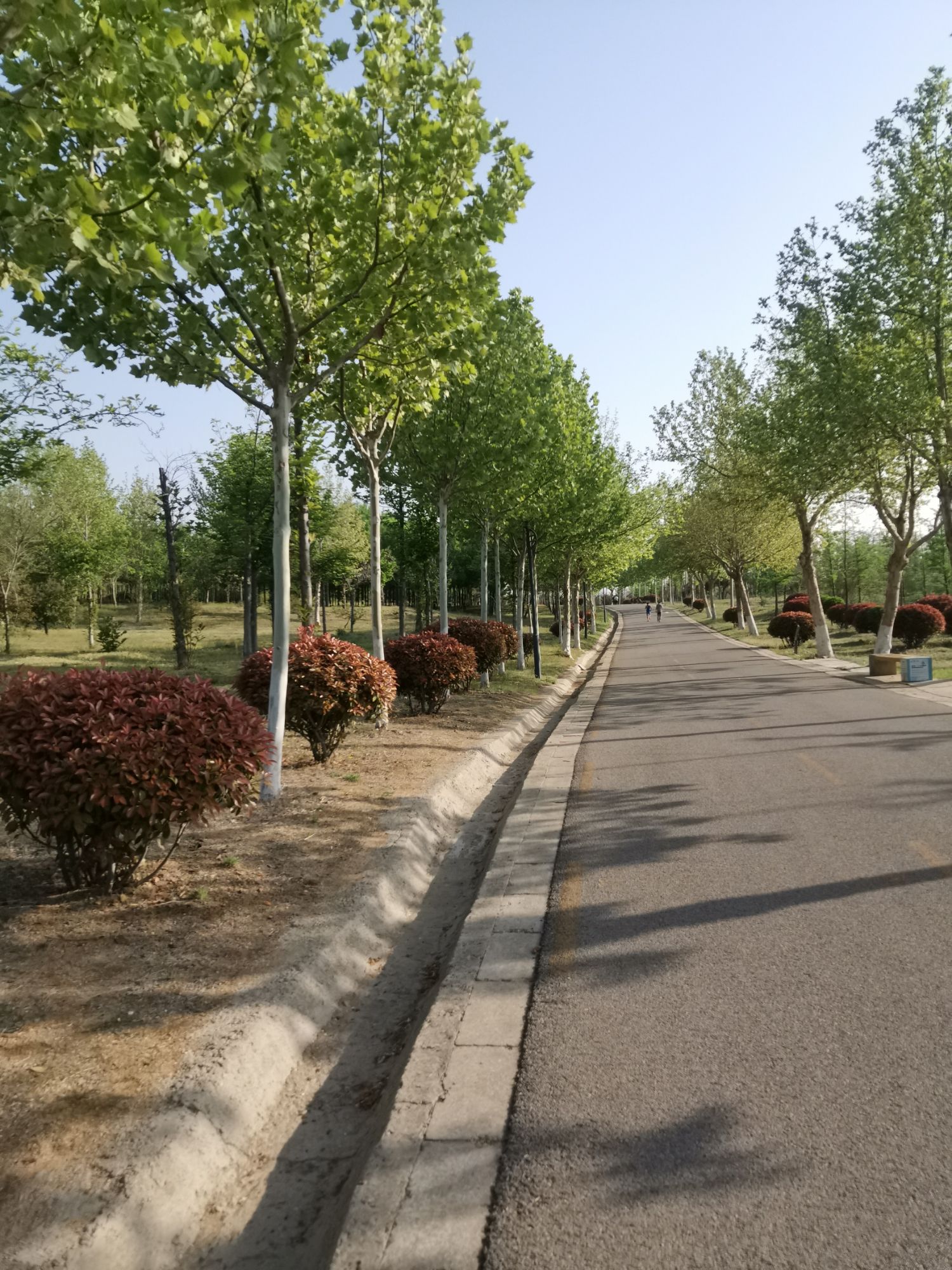 唐王河公园旅行图片 3