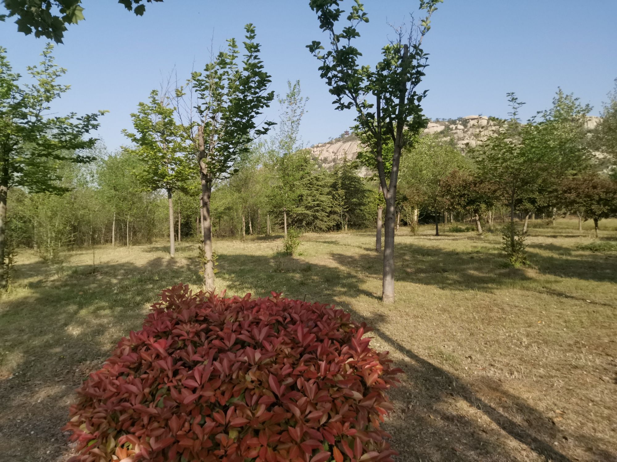 唐王河公园旅行图片 1