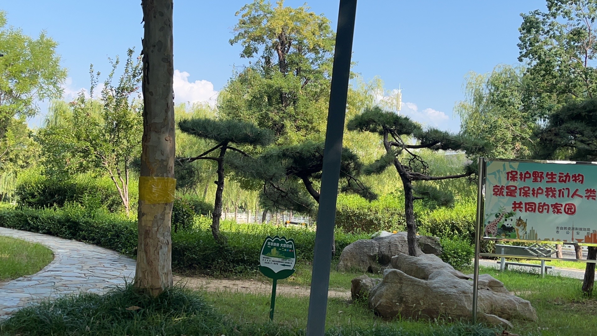 唐王河公园旅行图片 1