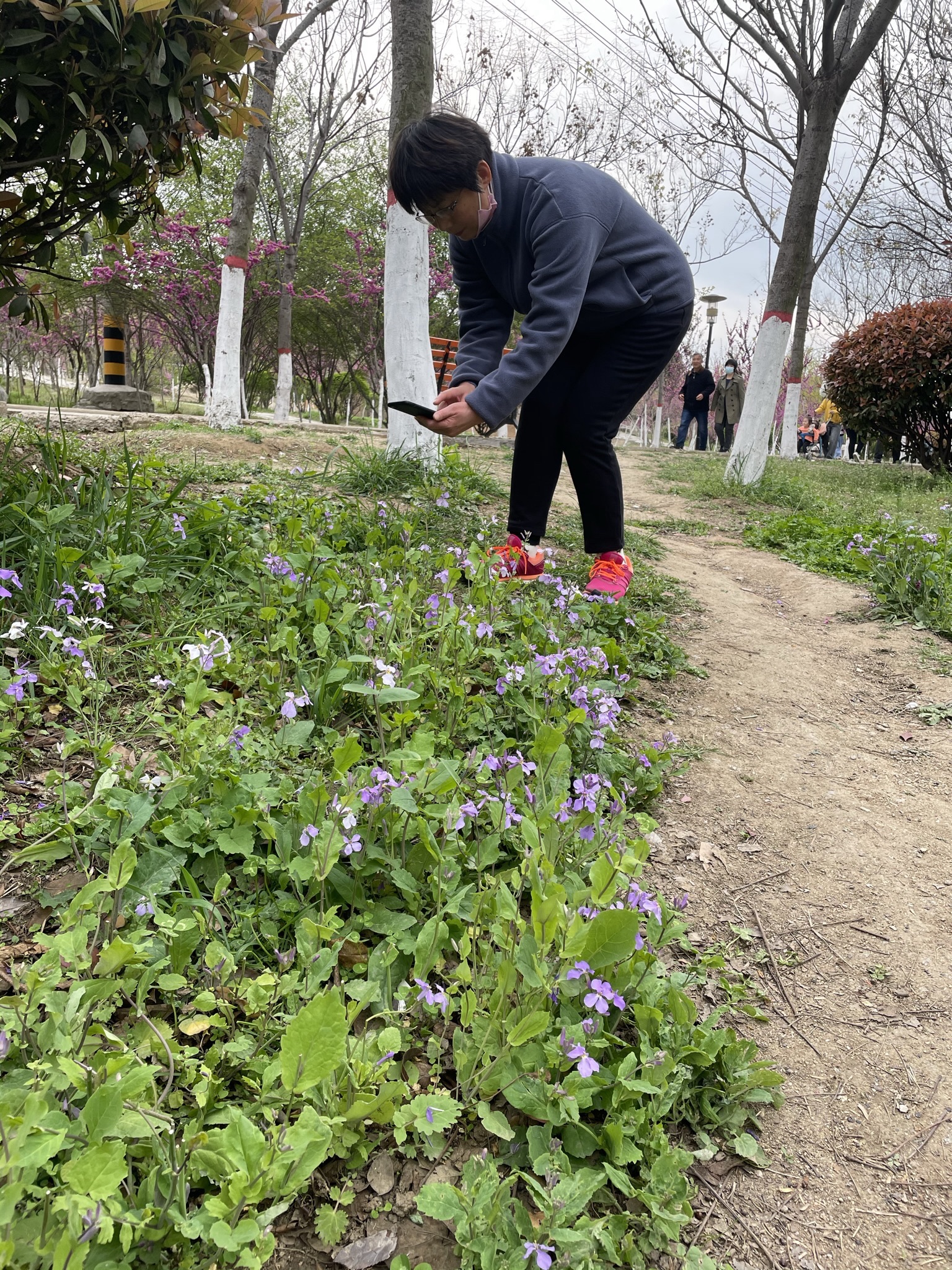 铁山公园旅行图片 3