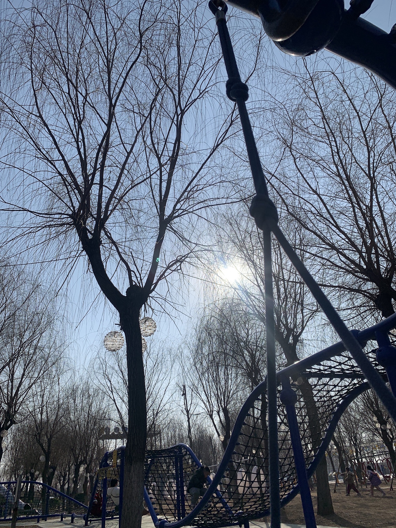 莲花湖湿地旅行图片 2
