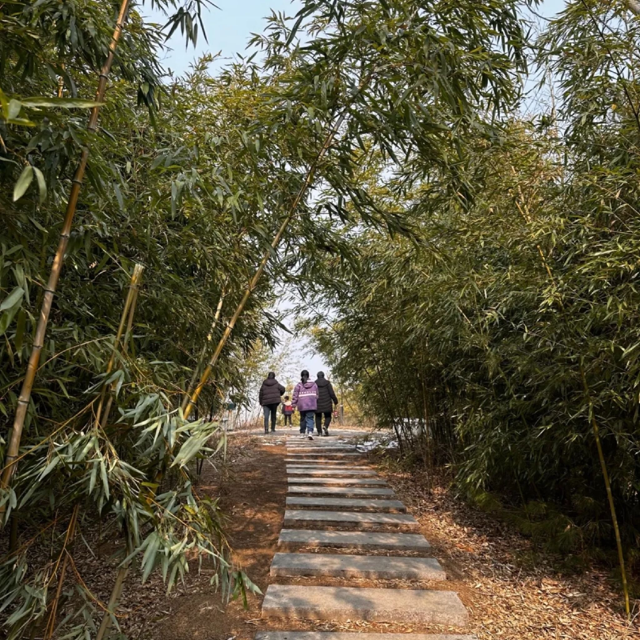 莲花湖湿地旅行图片 1