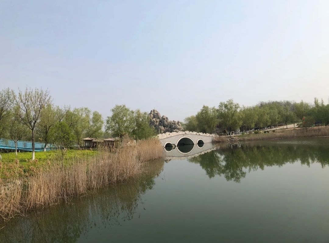 莲花湖湿地旅行图片 3