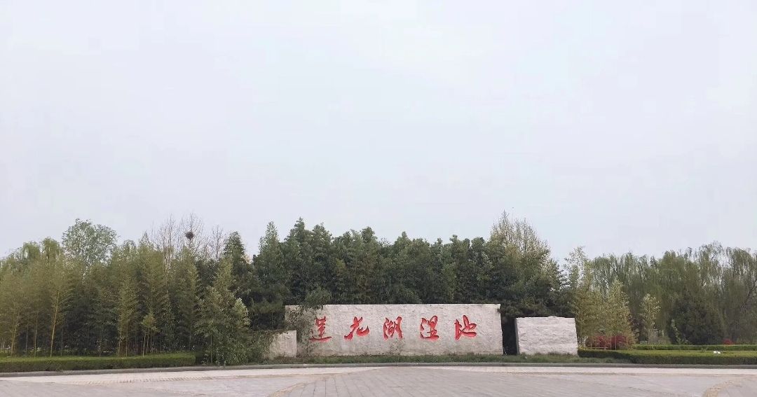 莲花湖湿地旅行图片 1
