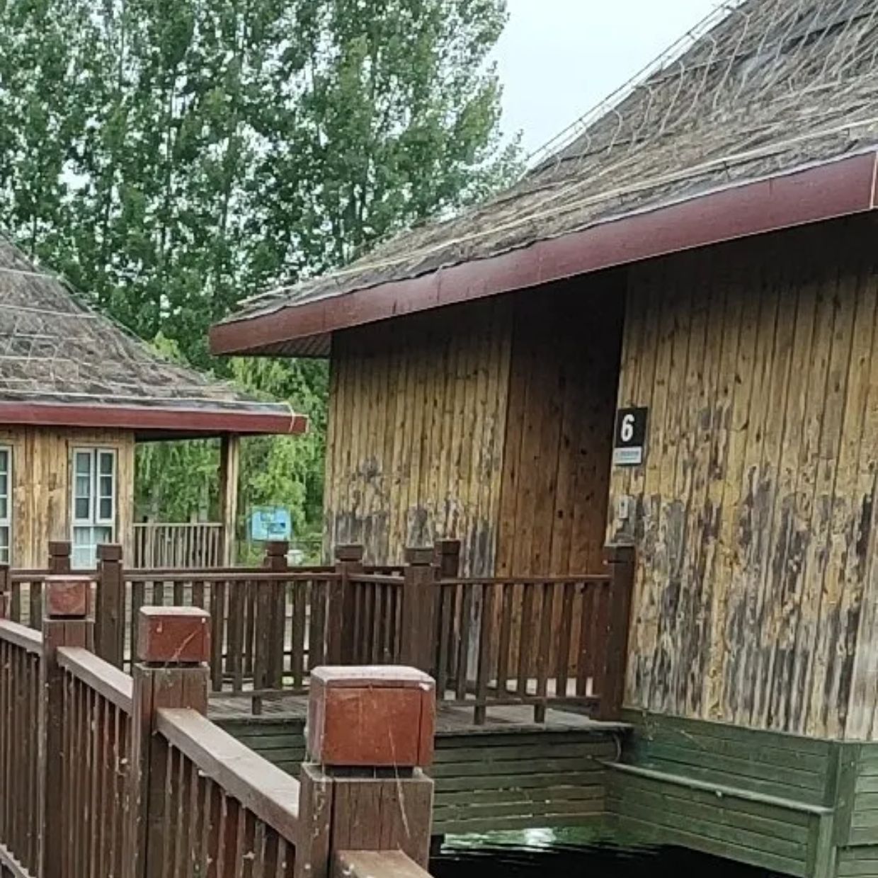 万紫千红生态养生旅游度假区旅行图片 3