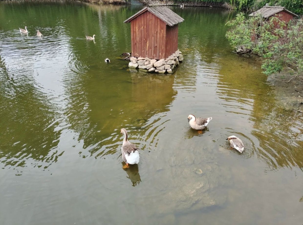 万紫千红生态养生旅游度假区旅行图片 2