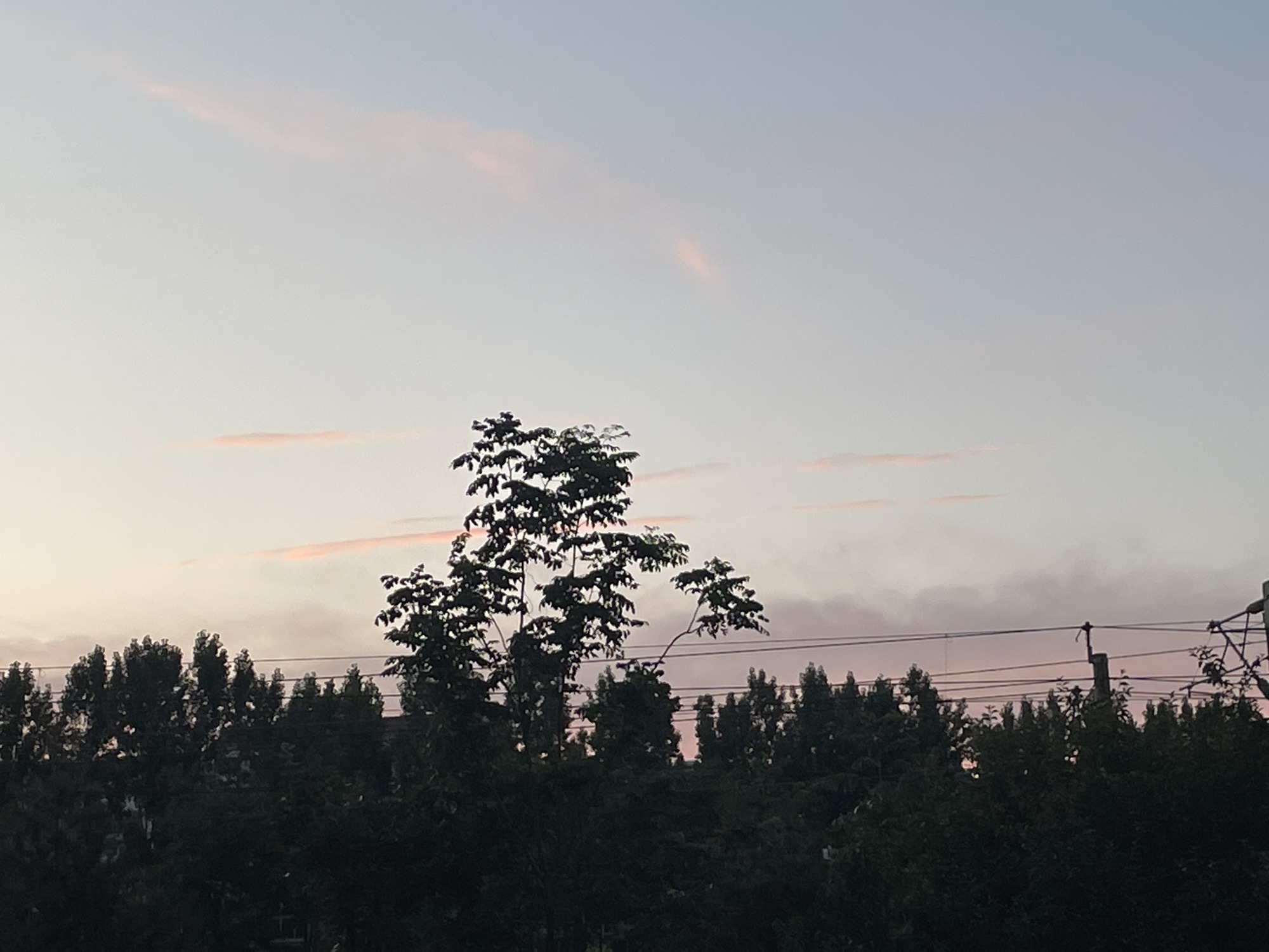 仙营绿地旅行图片 3