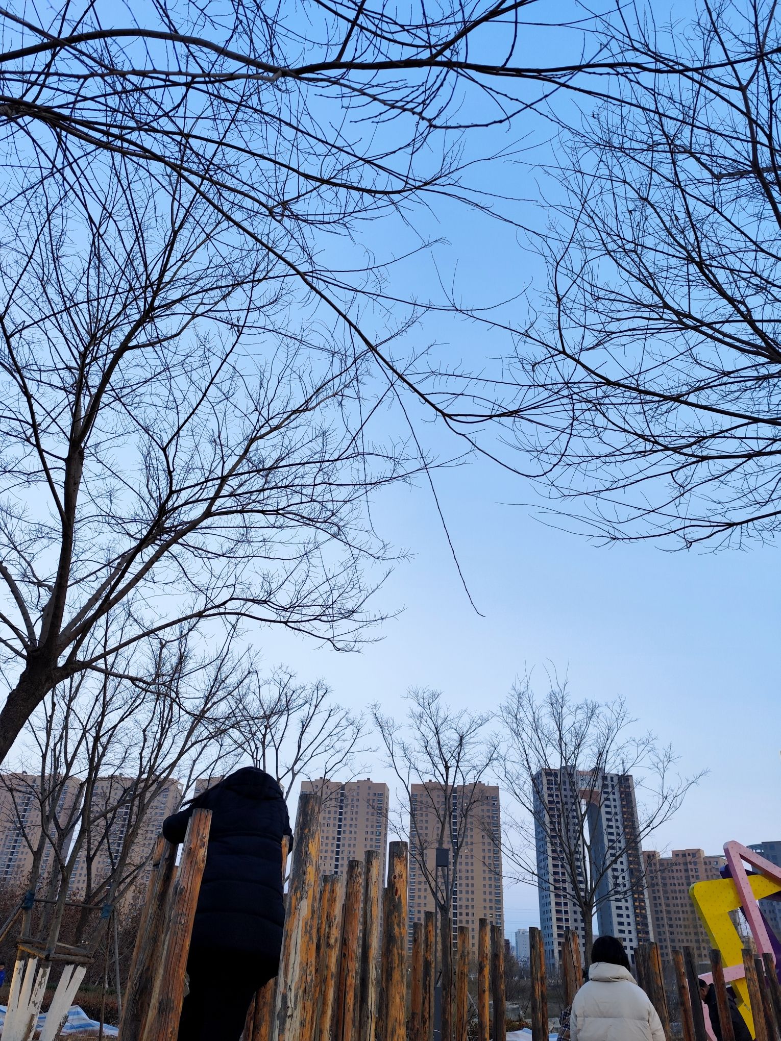 杨家河公园旅行图片 3