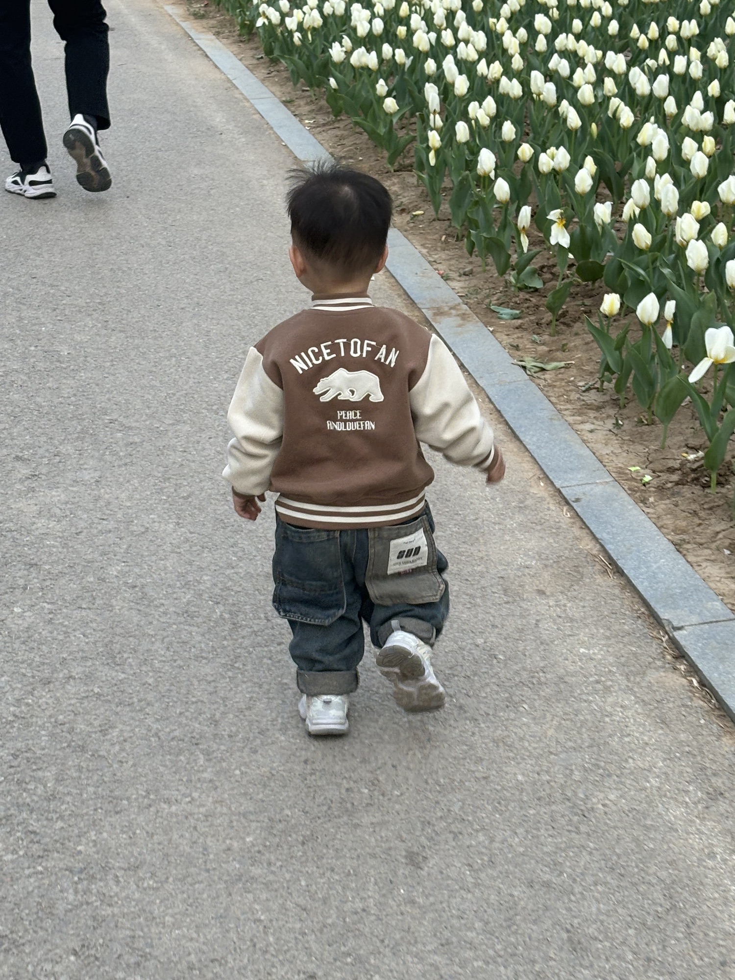 杨家河公园旅行图片 3