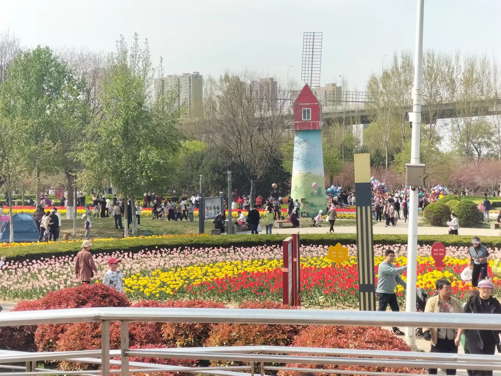 杨家河公园旅行图片 1