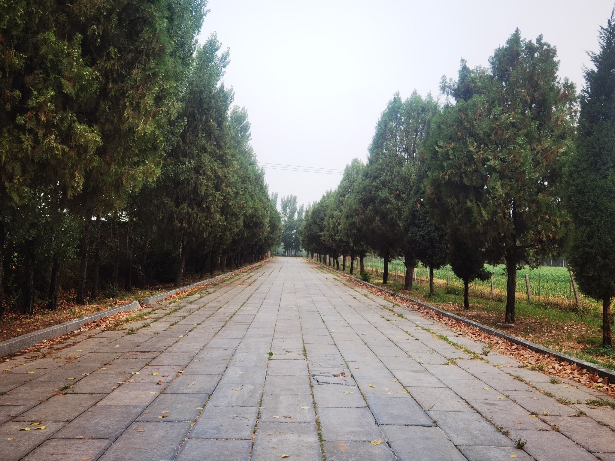 孟母林旅行图片 3