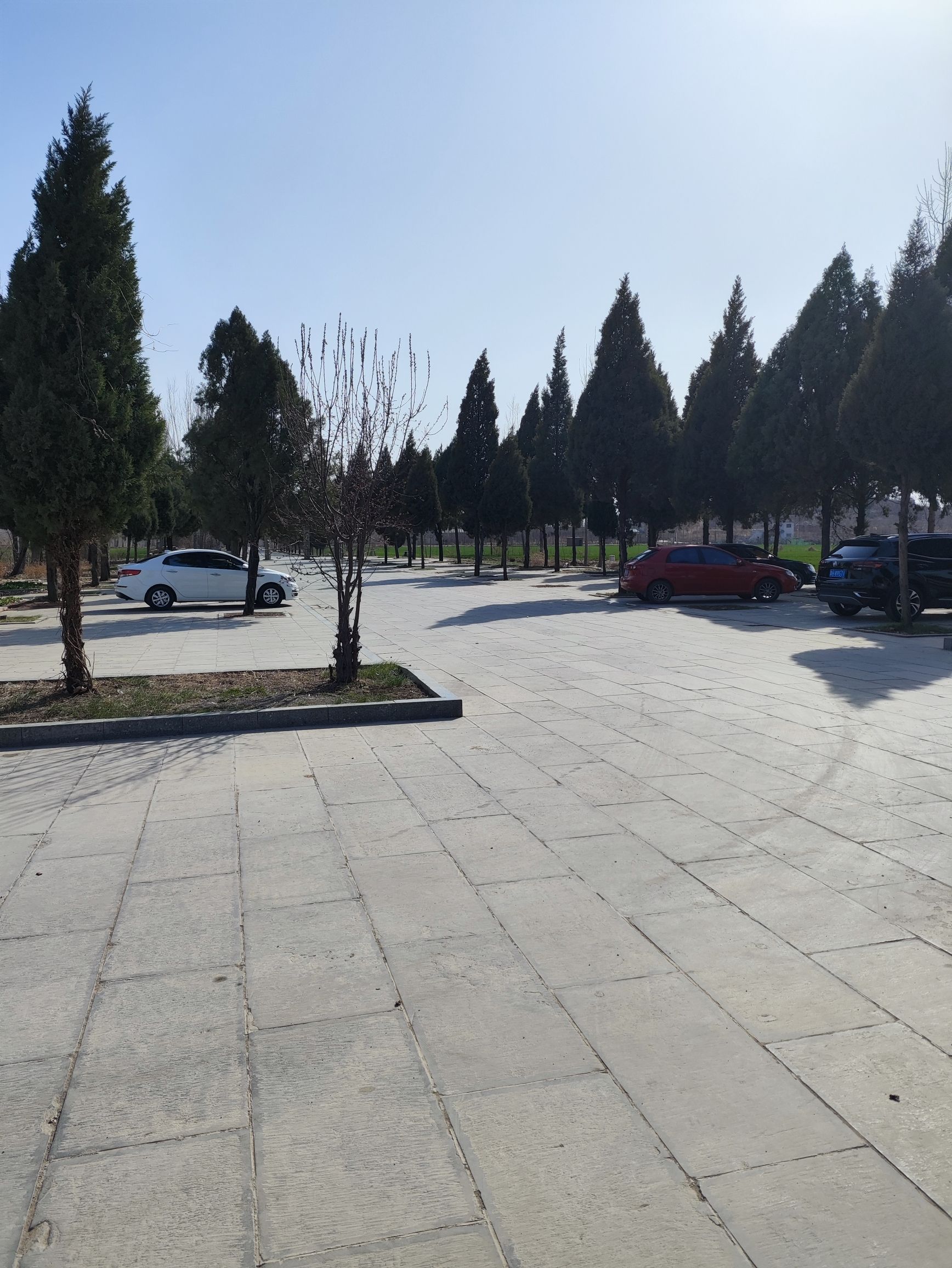 孟母林旅行图片 3