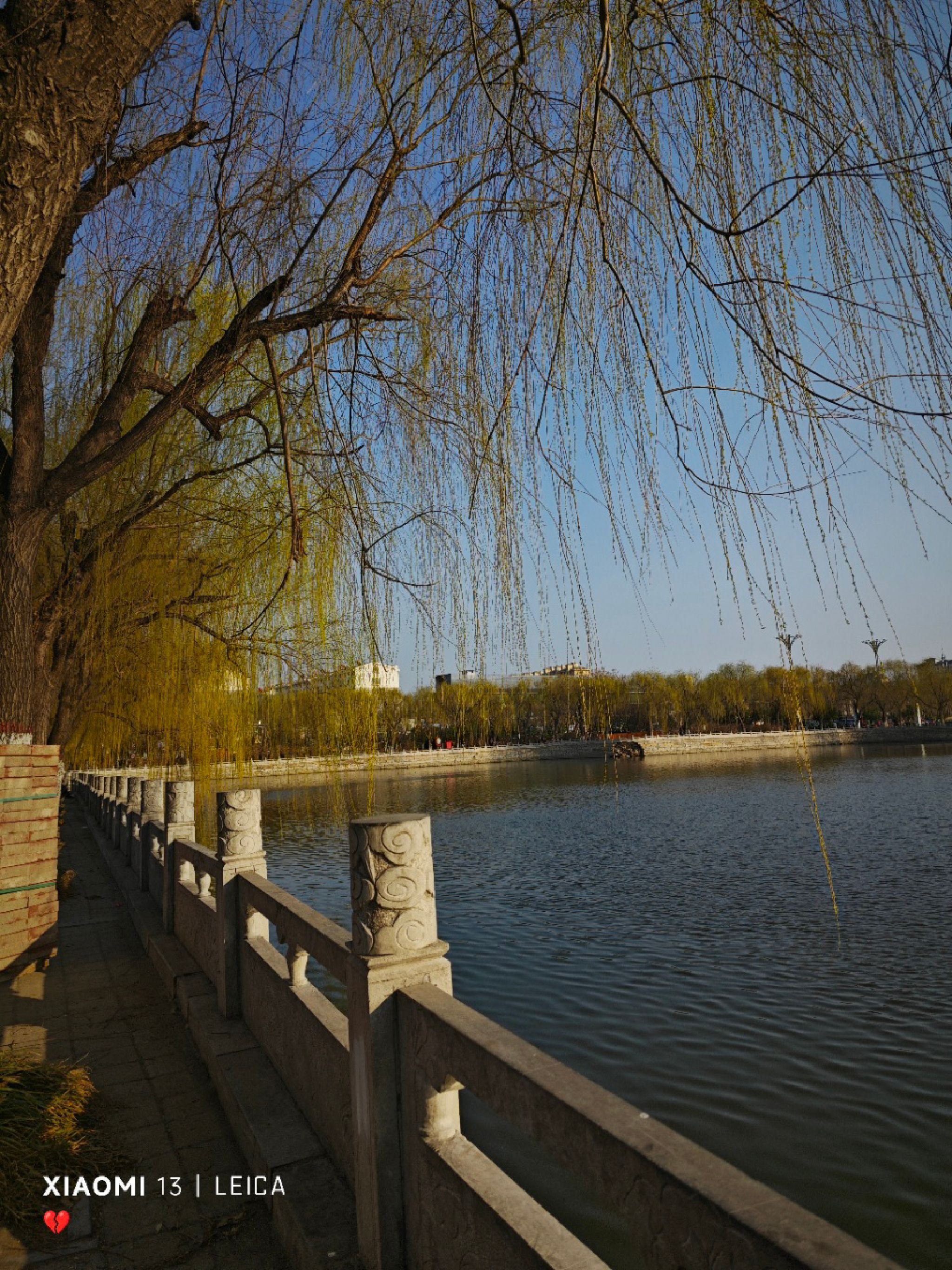 星湖公园旅行图片 2