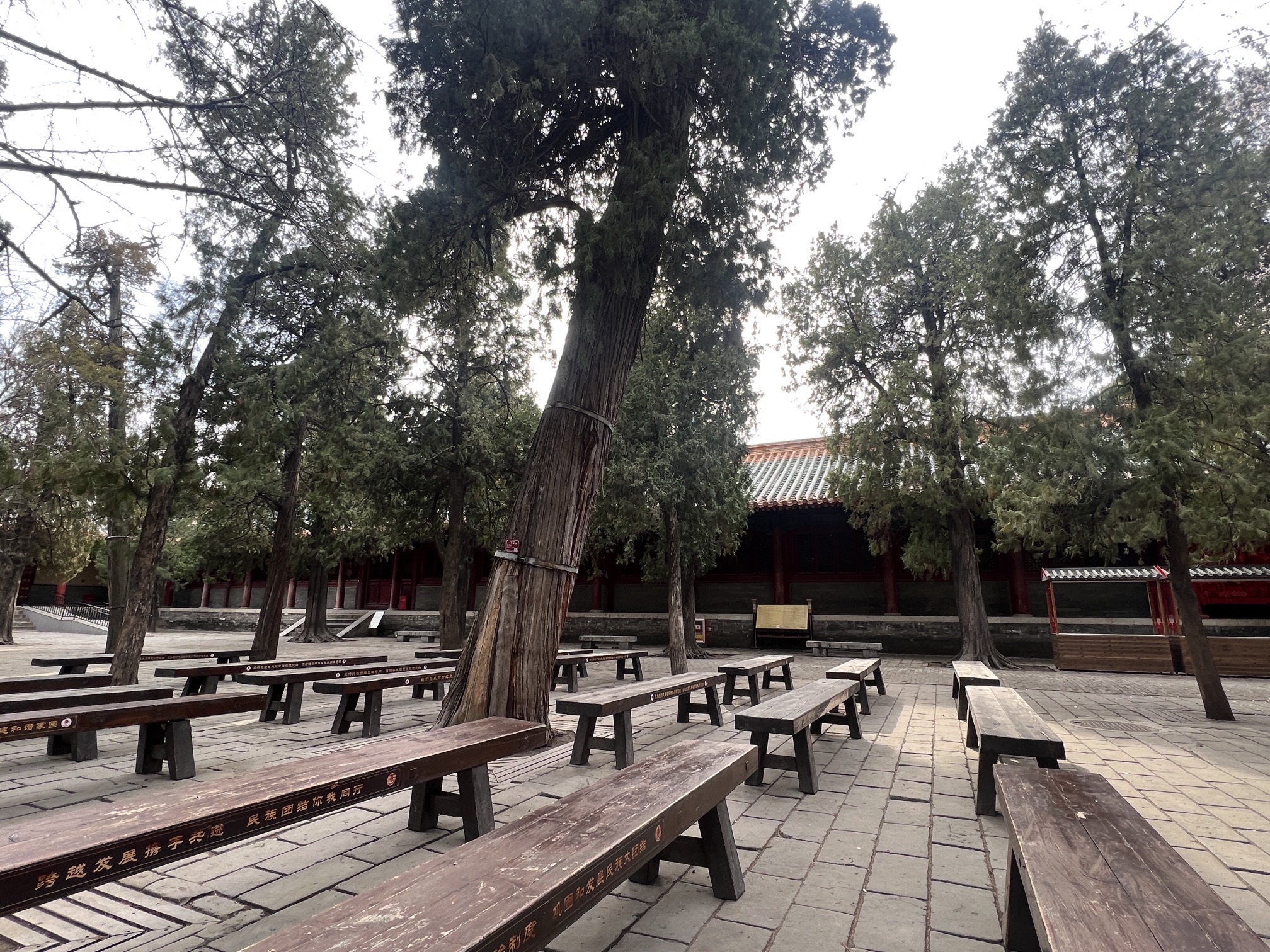 孔庙旅行图片 3