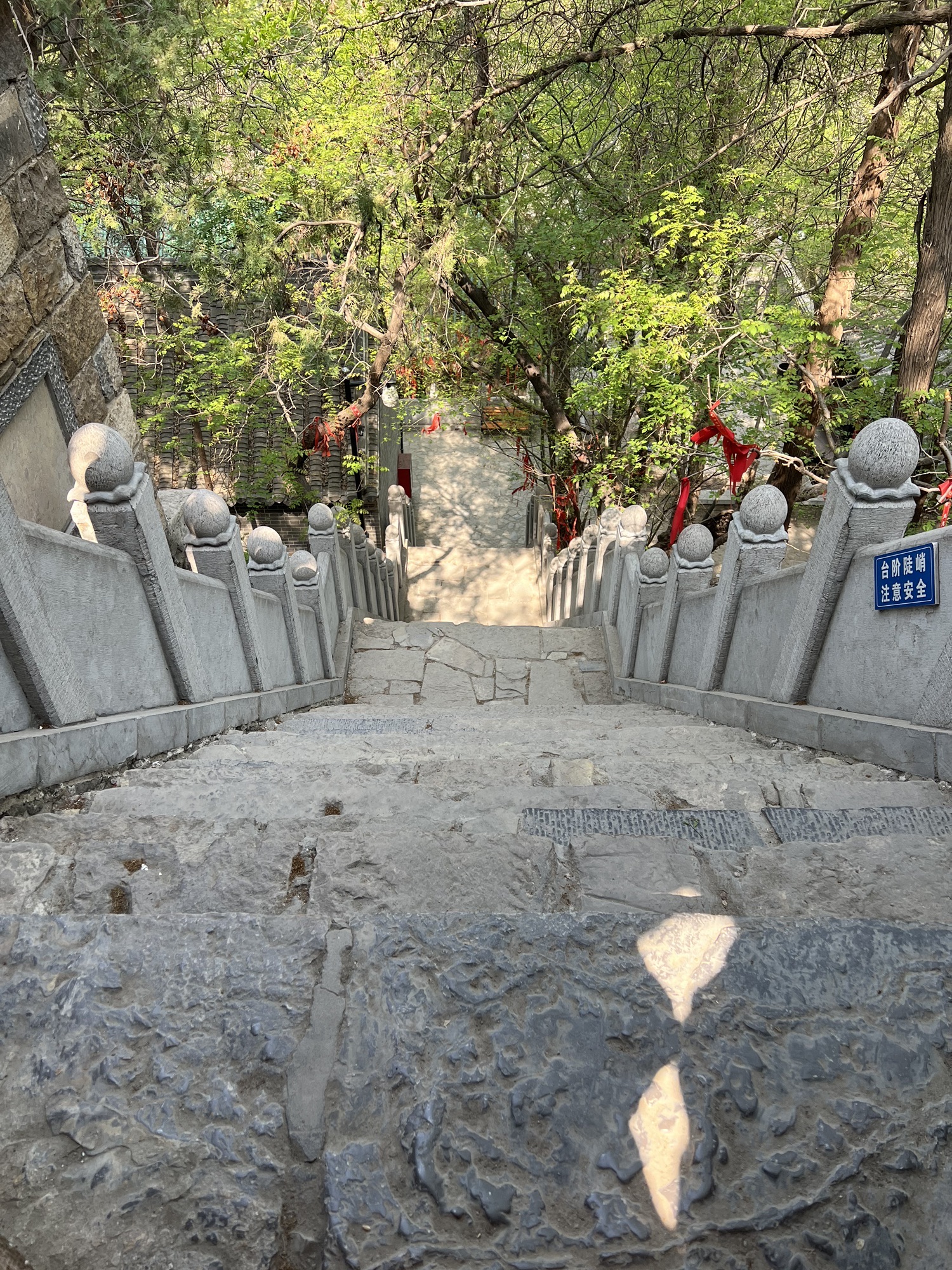 青山风景区旅行图片 3