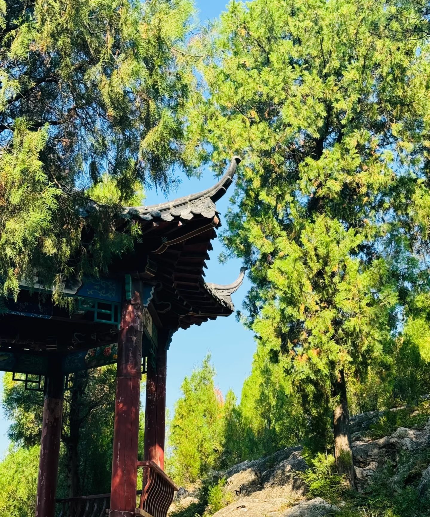 青山风景区旅行图片 2