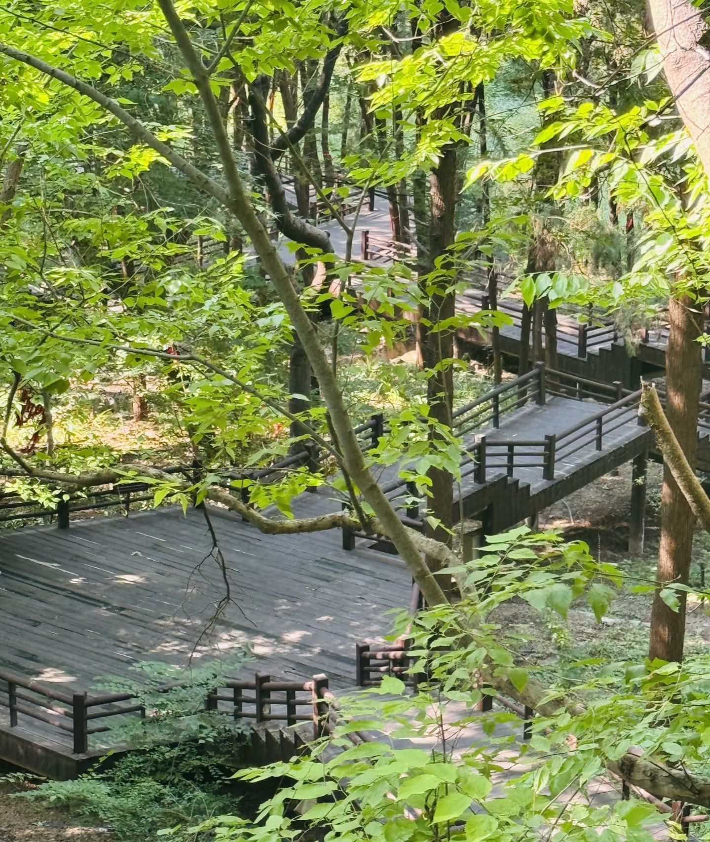 青山风景区旅行图片 3