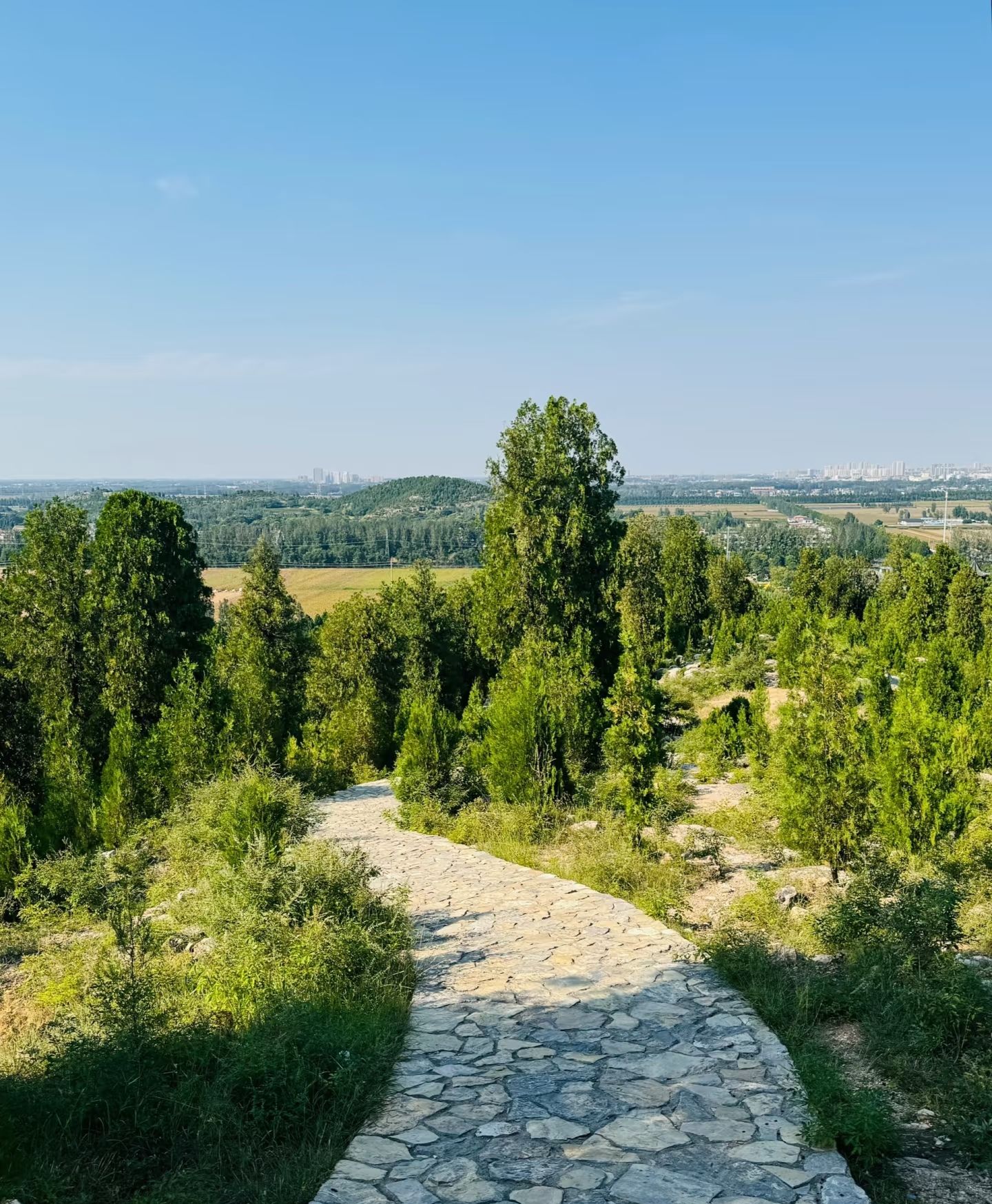 青山风景区旅行图片 1