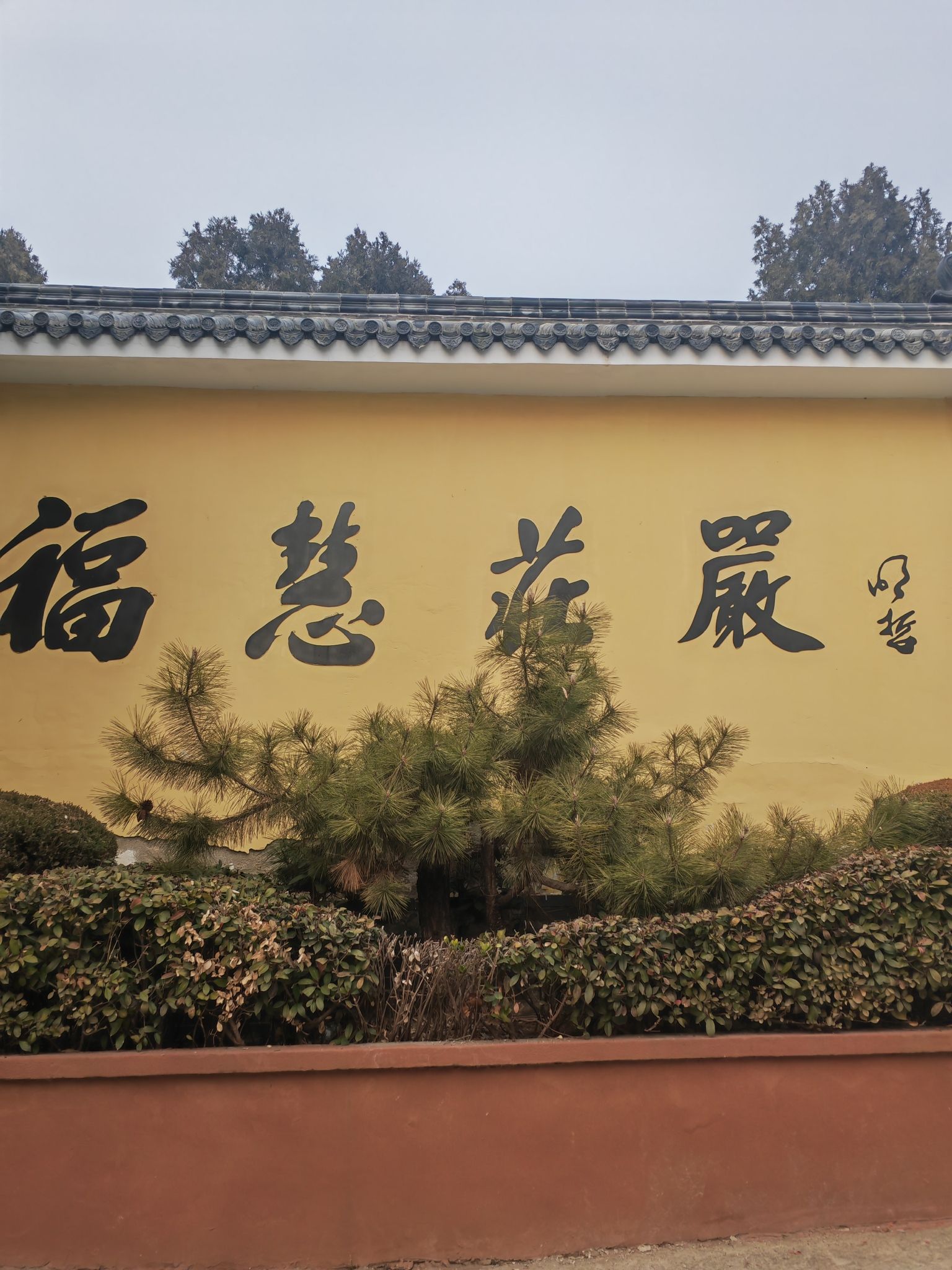 青山风景区旅行图片 1
