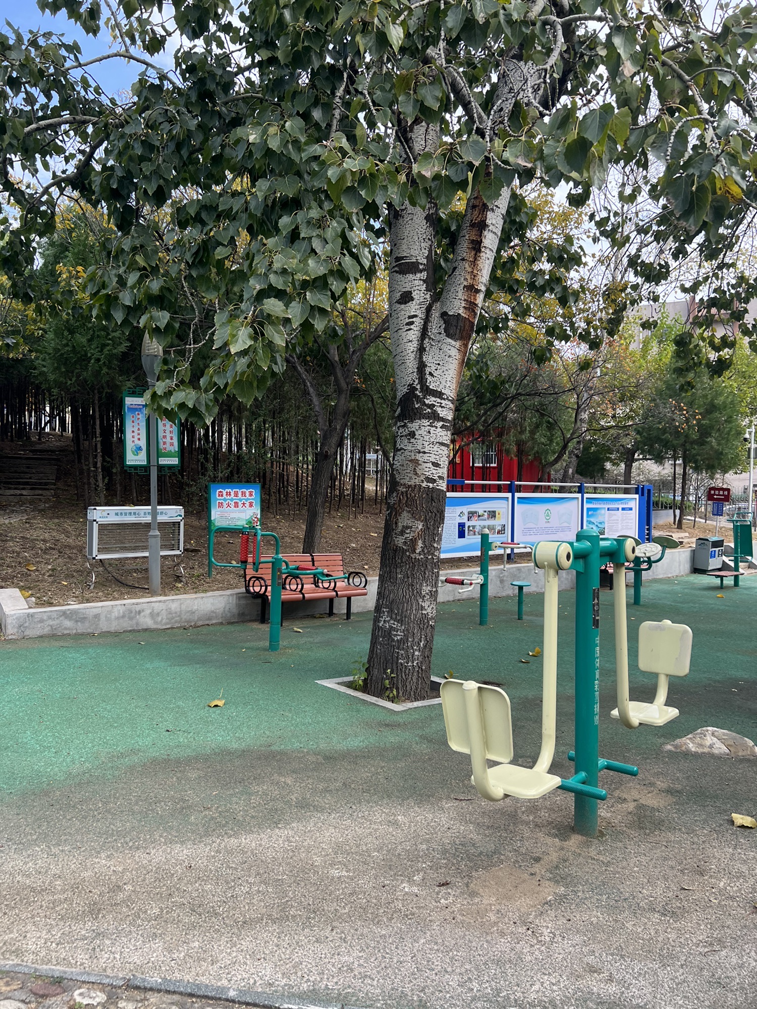 金山公园旅行图片 2