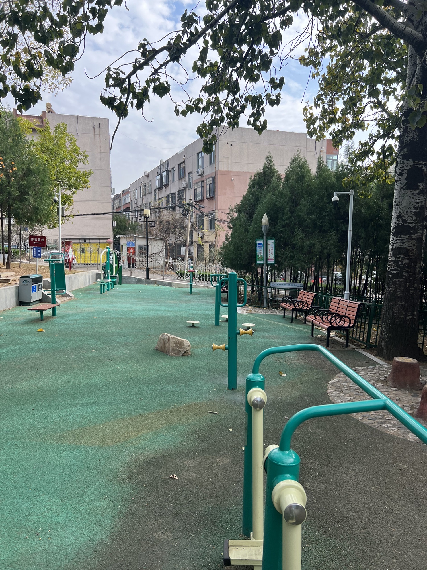 金山公园旅行图片 3