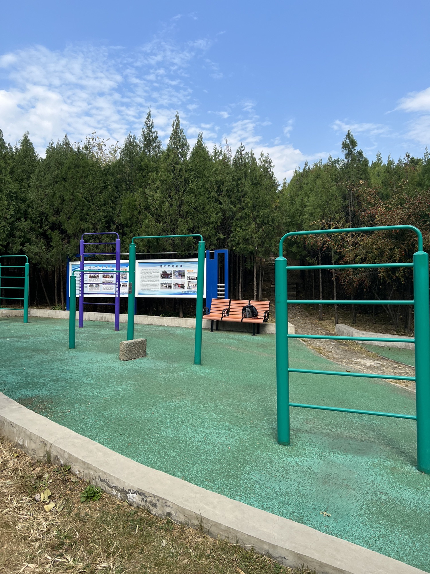 金山公园旅行图片 1
