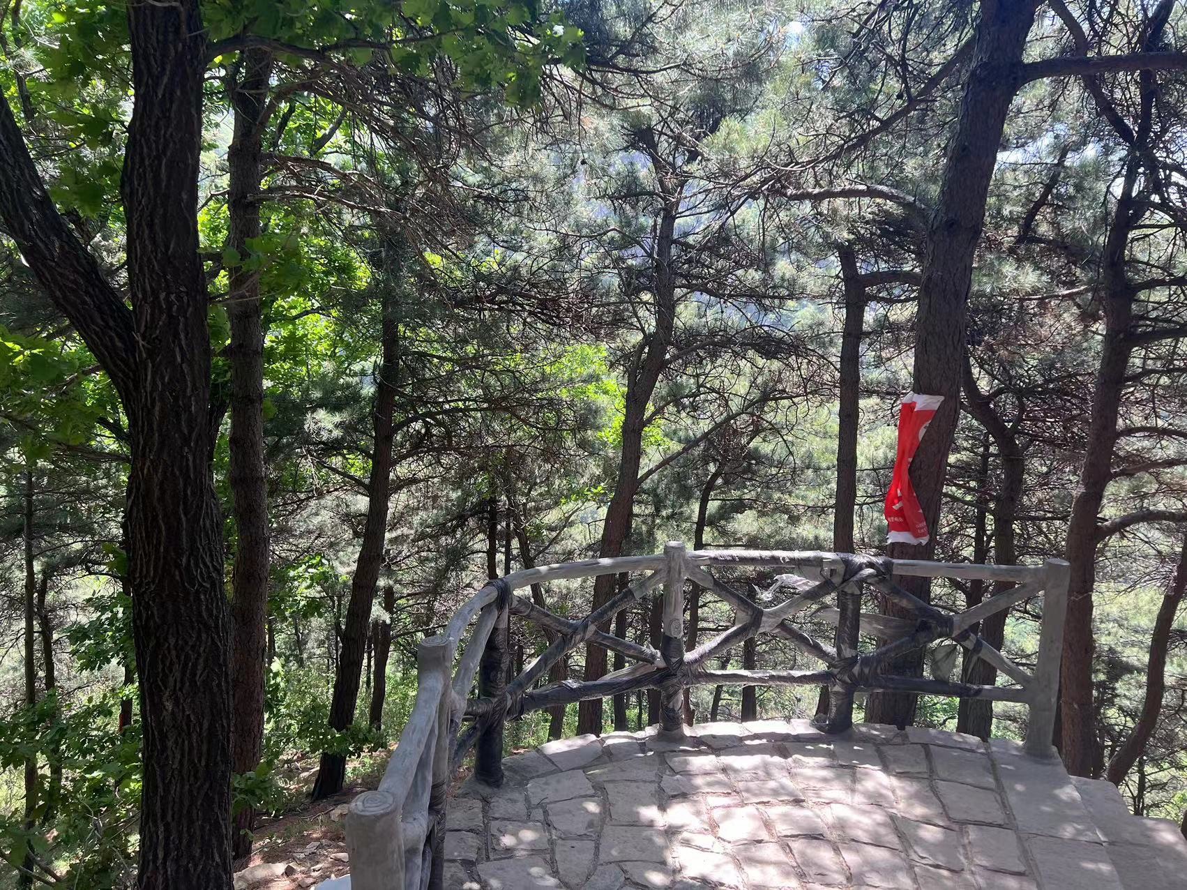 泰山东御道旅行图片 3