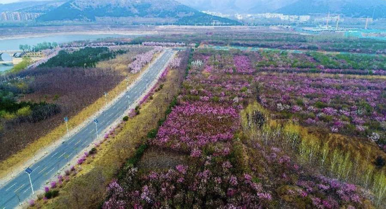 路博园景观区旅行图片 1