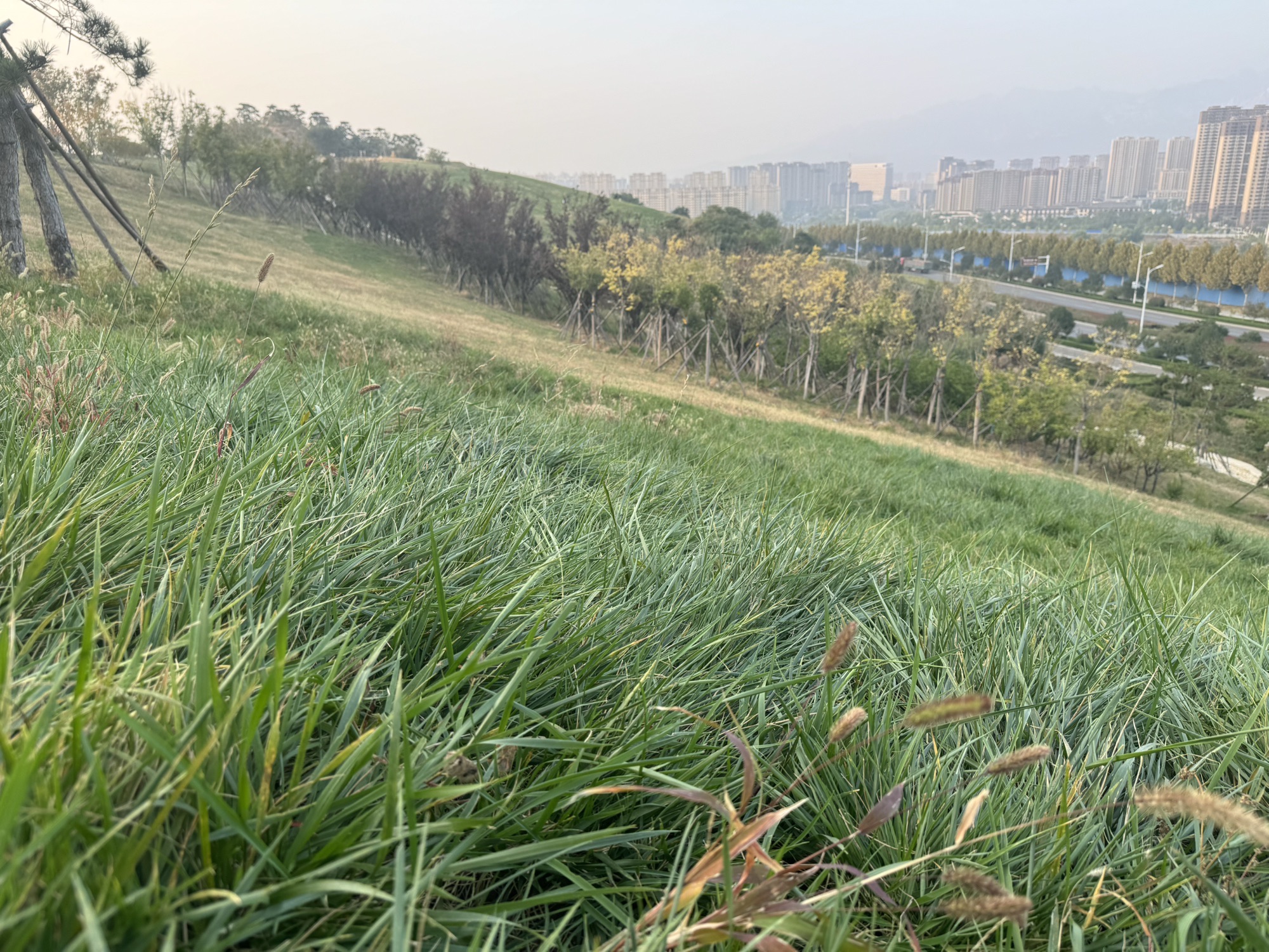 路博园景观区旅行图片 2