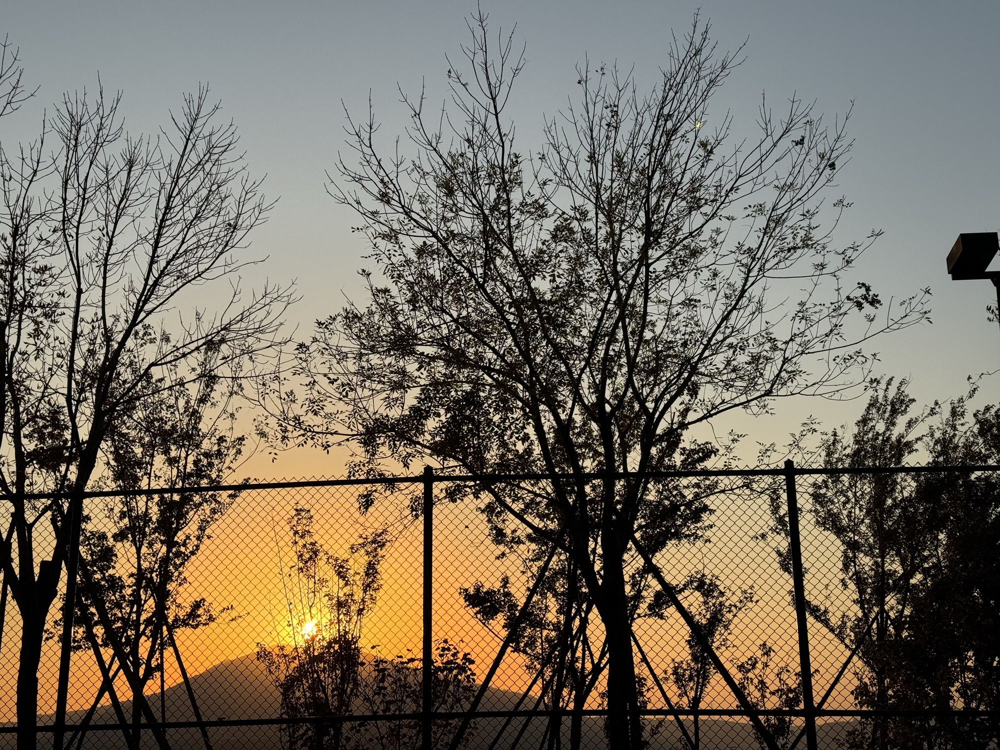 路博园景观区旅行图片 1