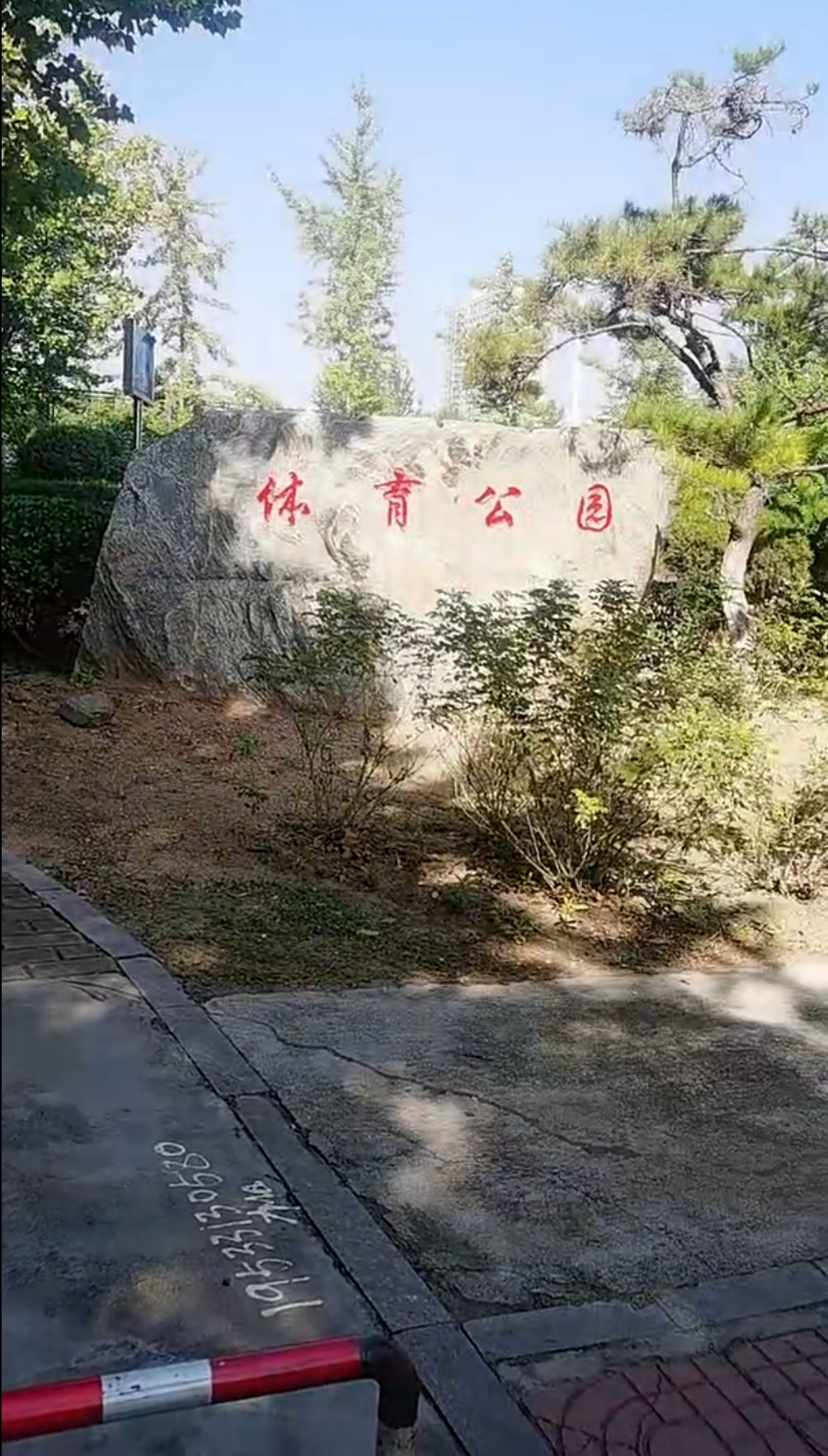 新泰体育场