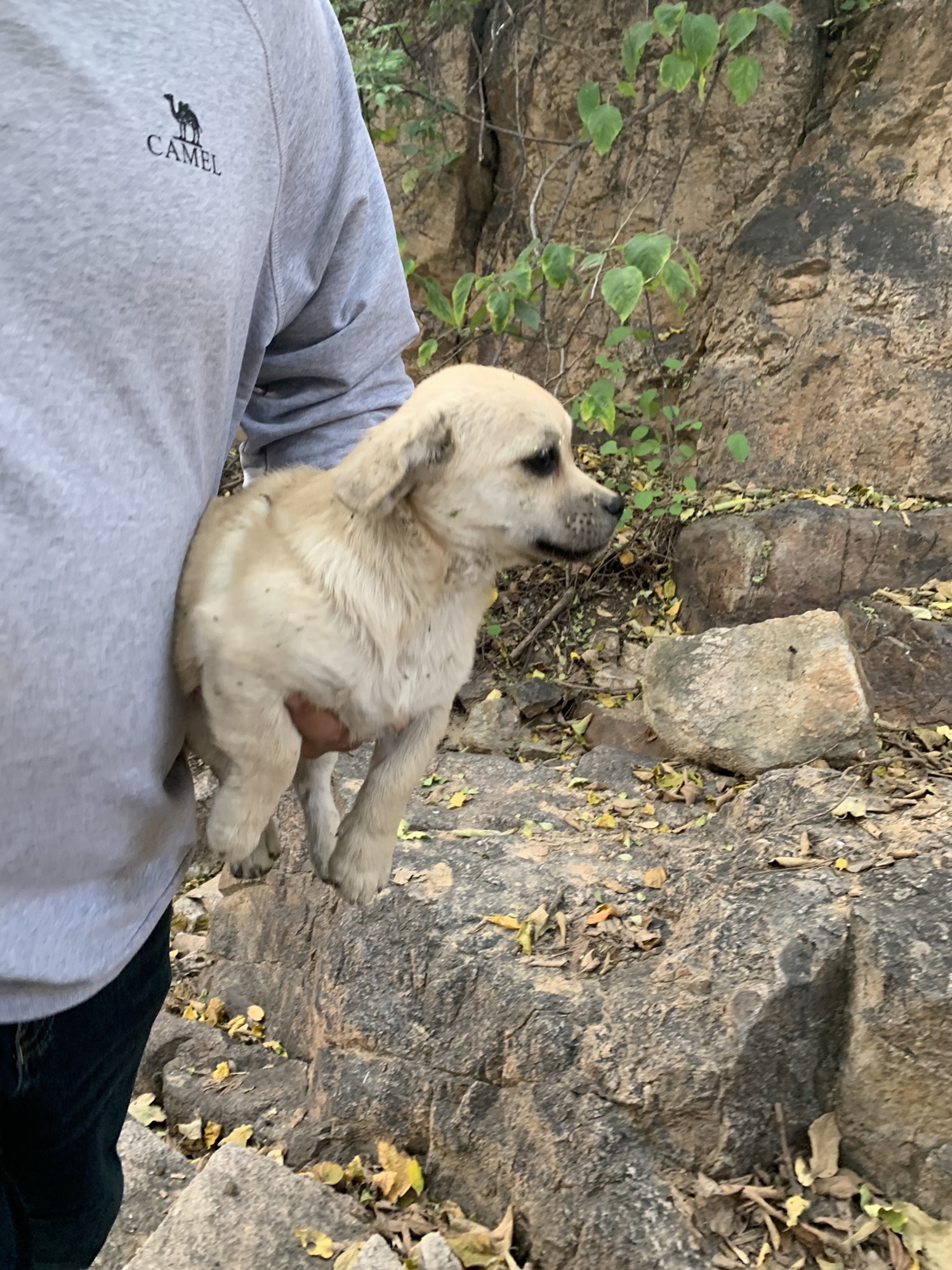 云蒙山旅行图片 2