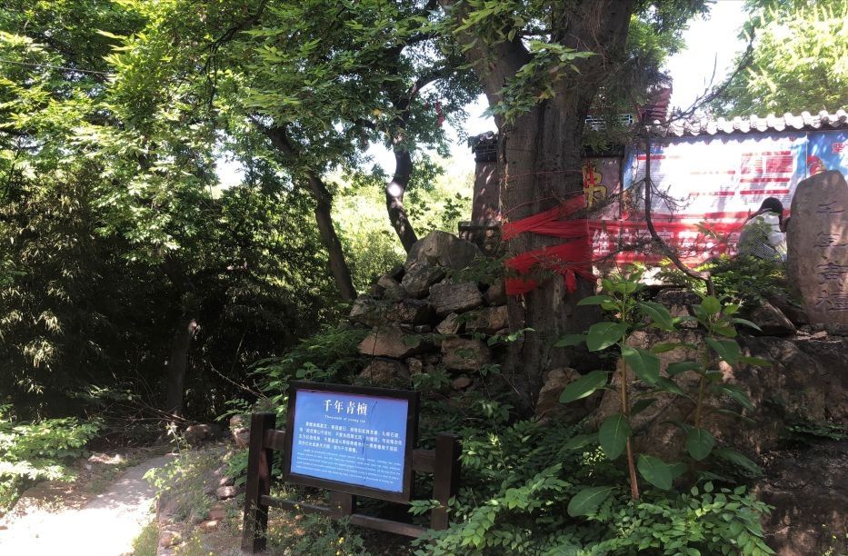 云蒙山旅行图片 1